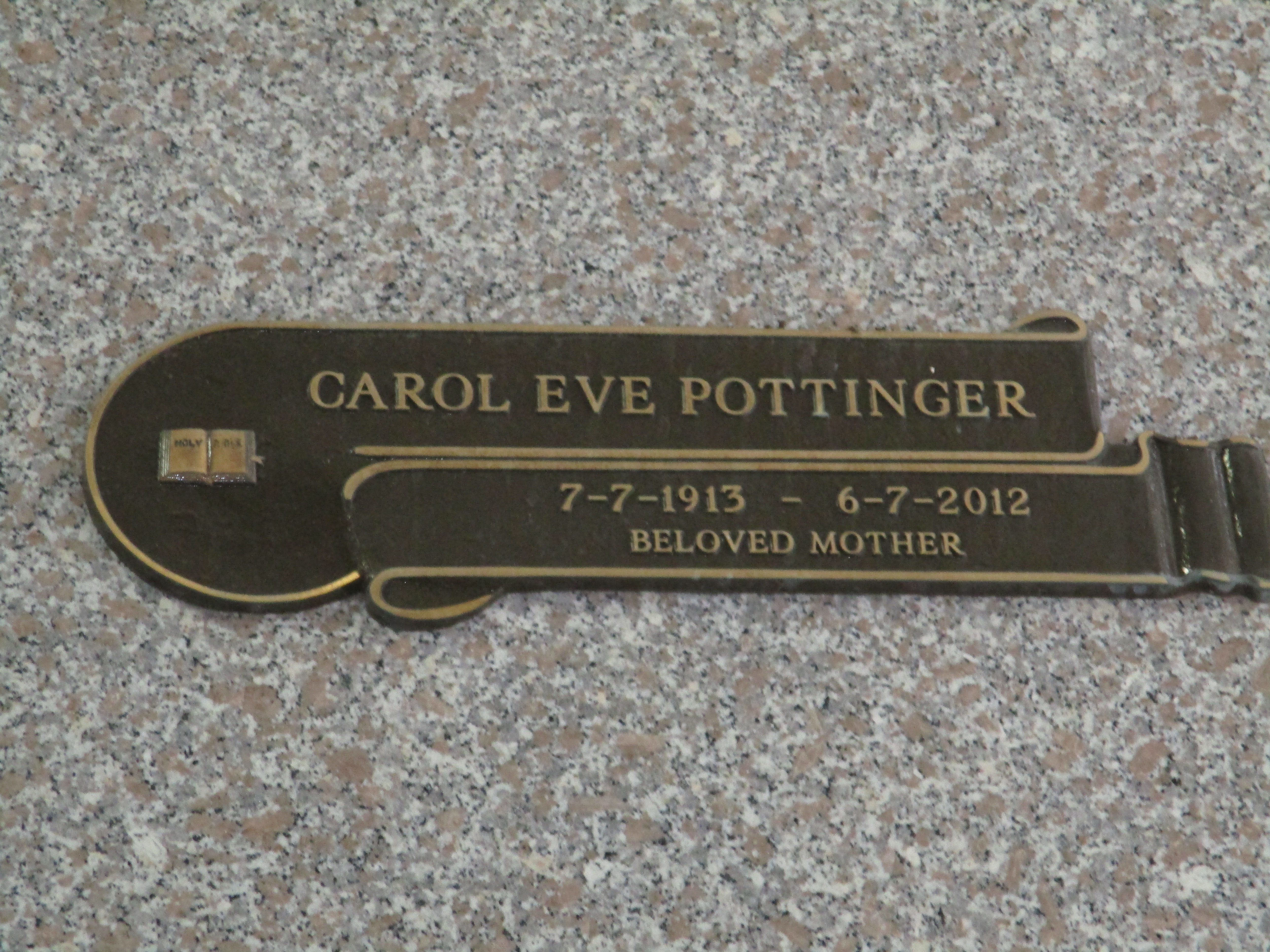 Carol Eve Pottinger