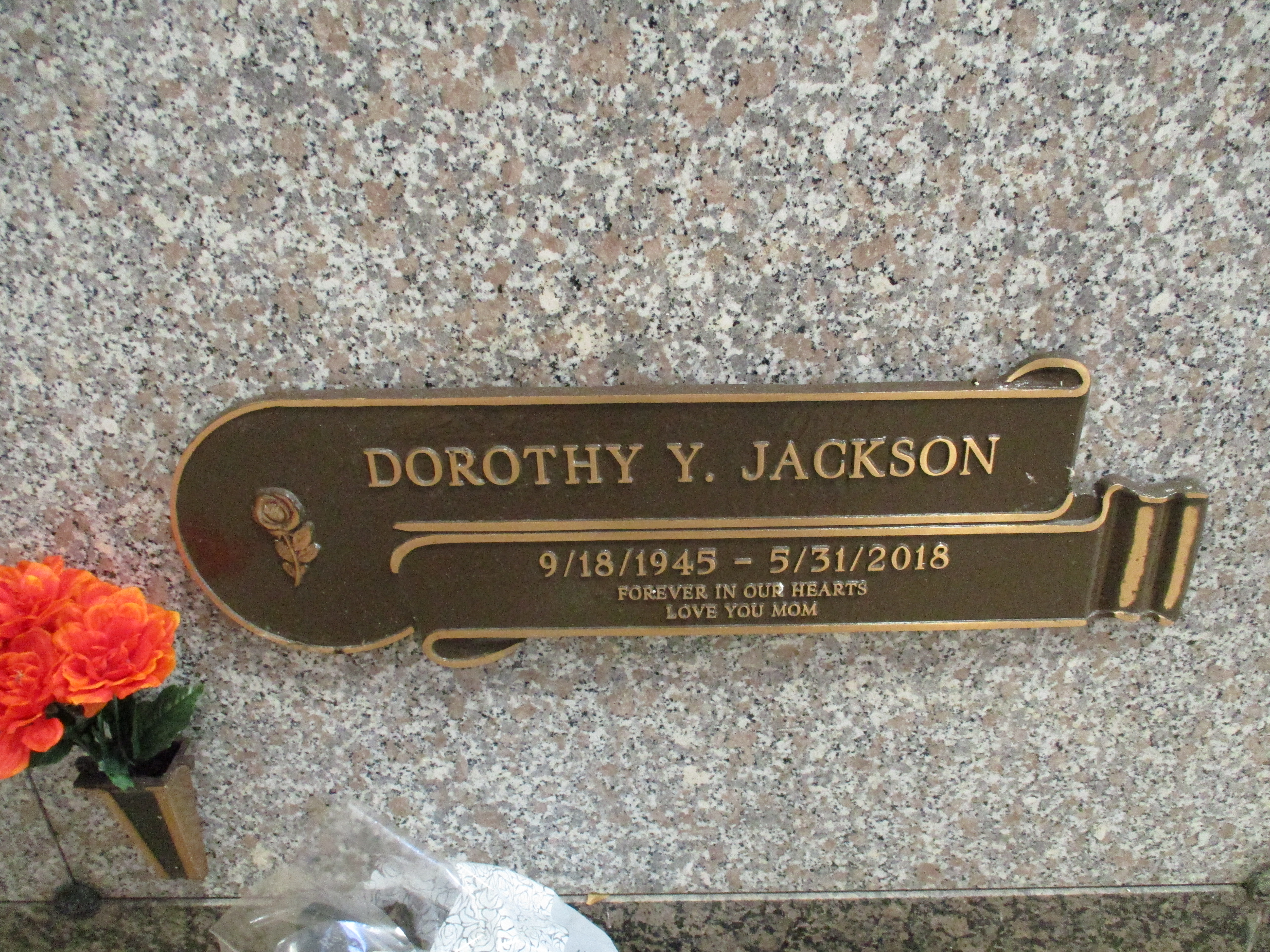 Dorothy Y Jackson