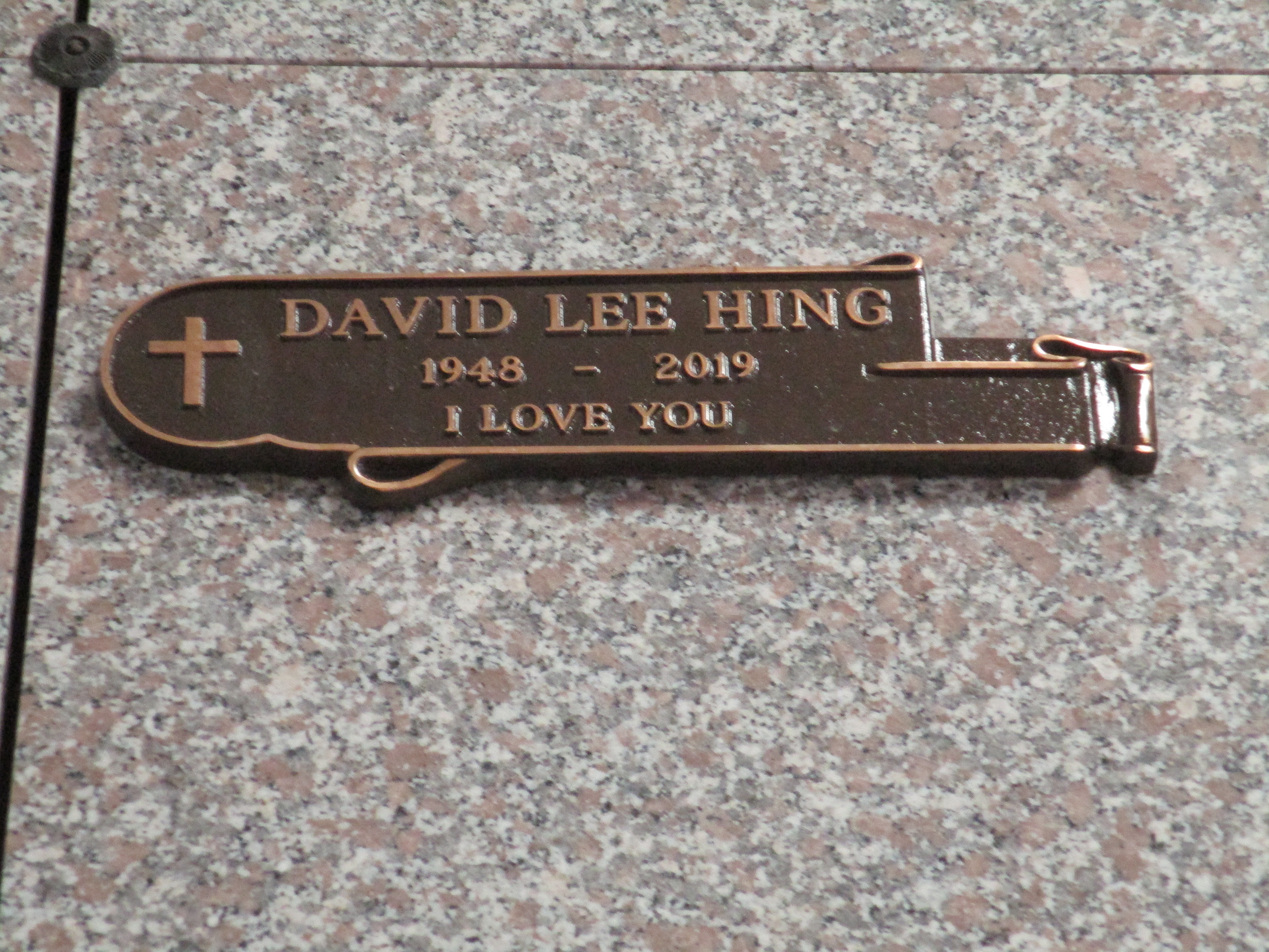 David Lee Hing