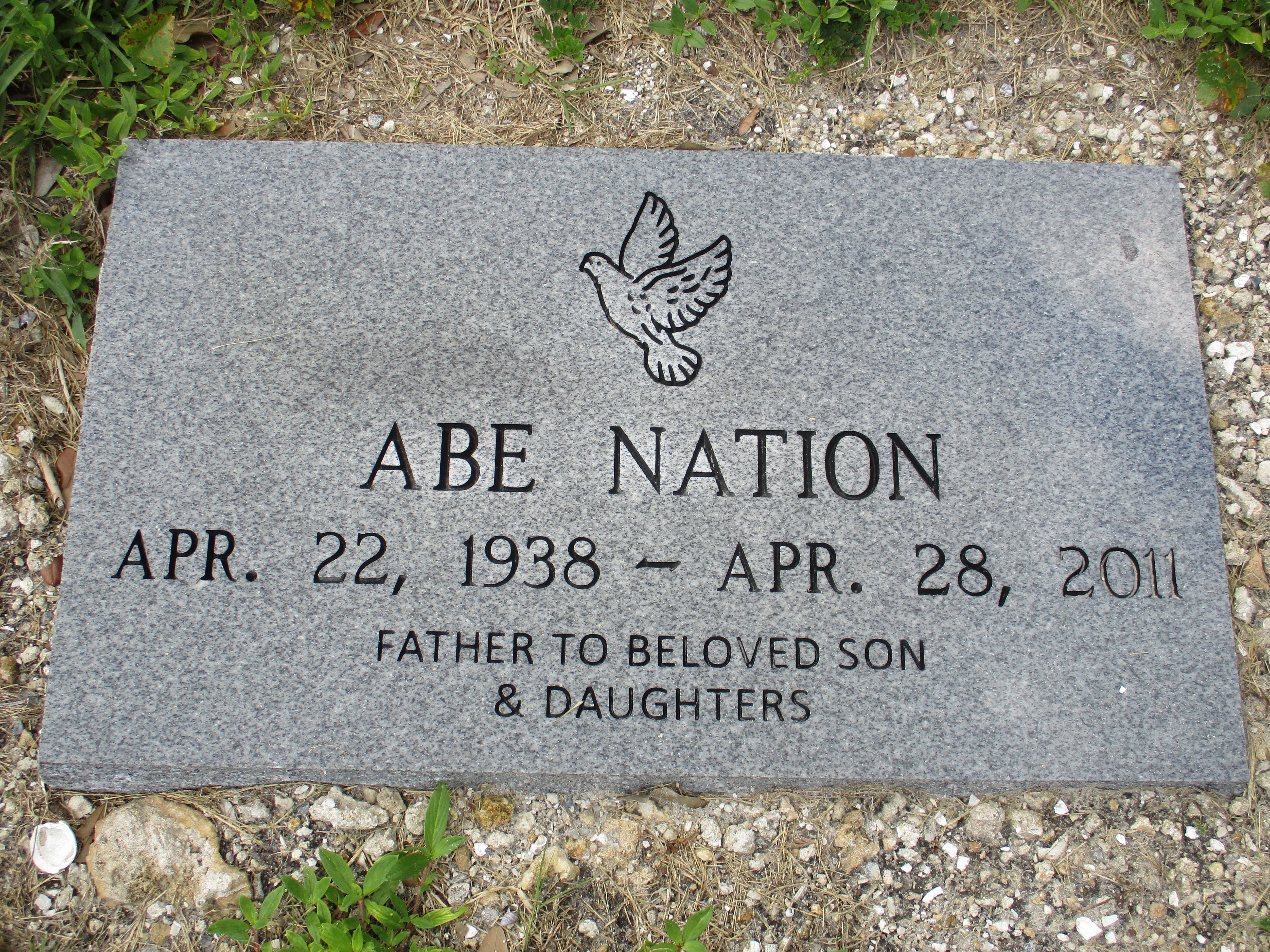 Abe Nation