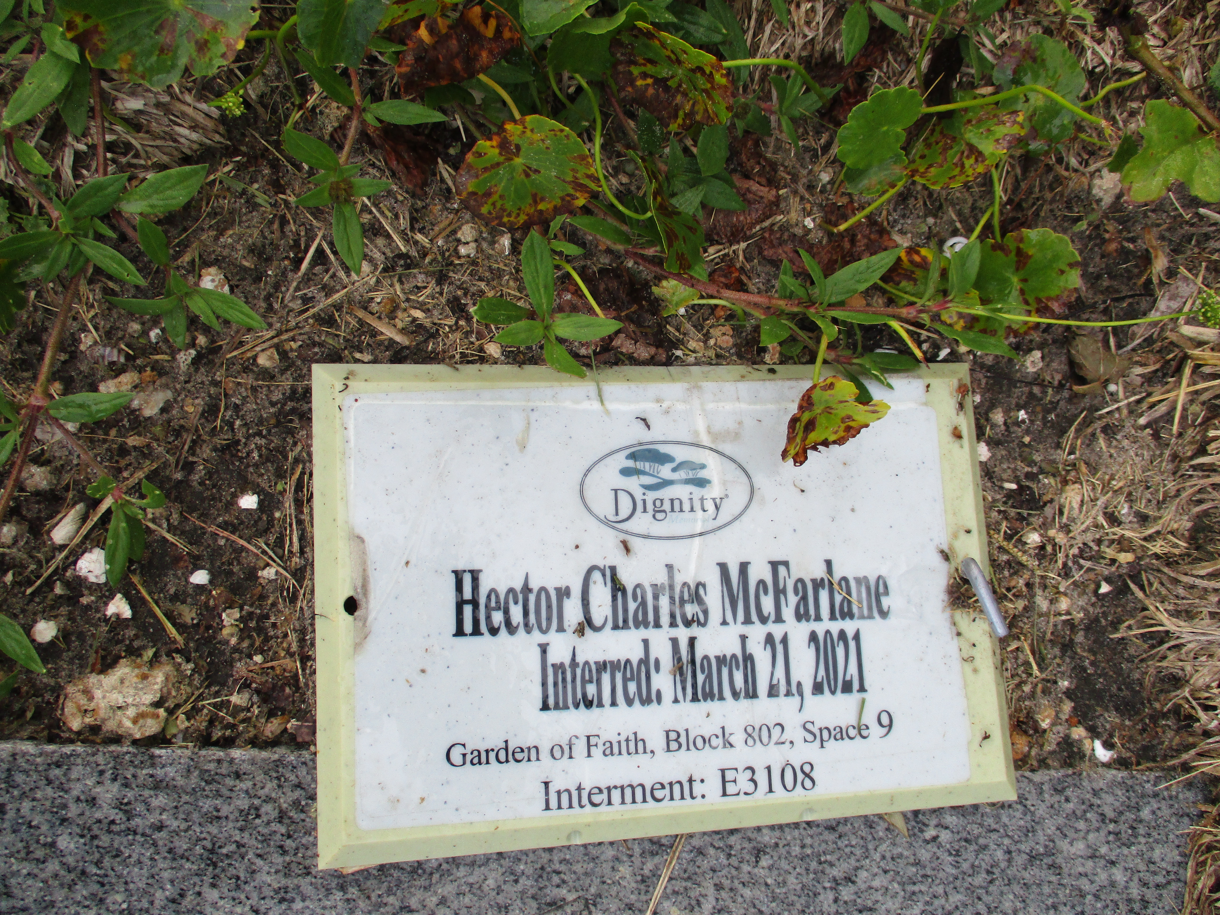 Hector Charles McFarlane