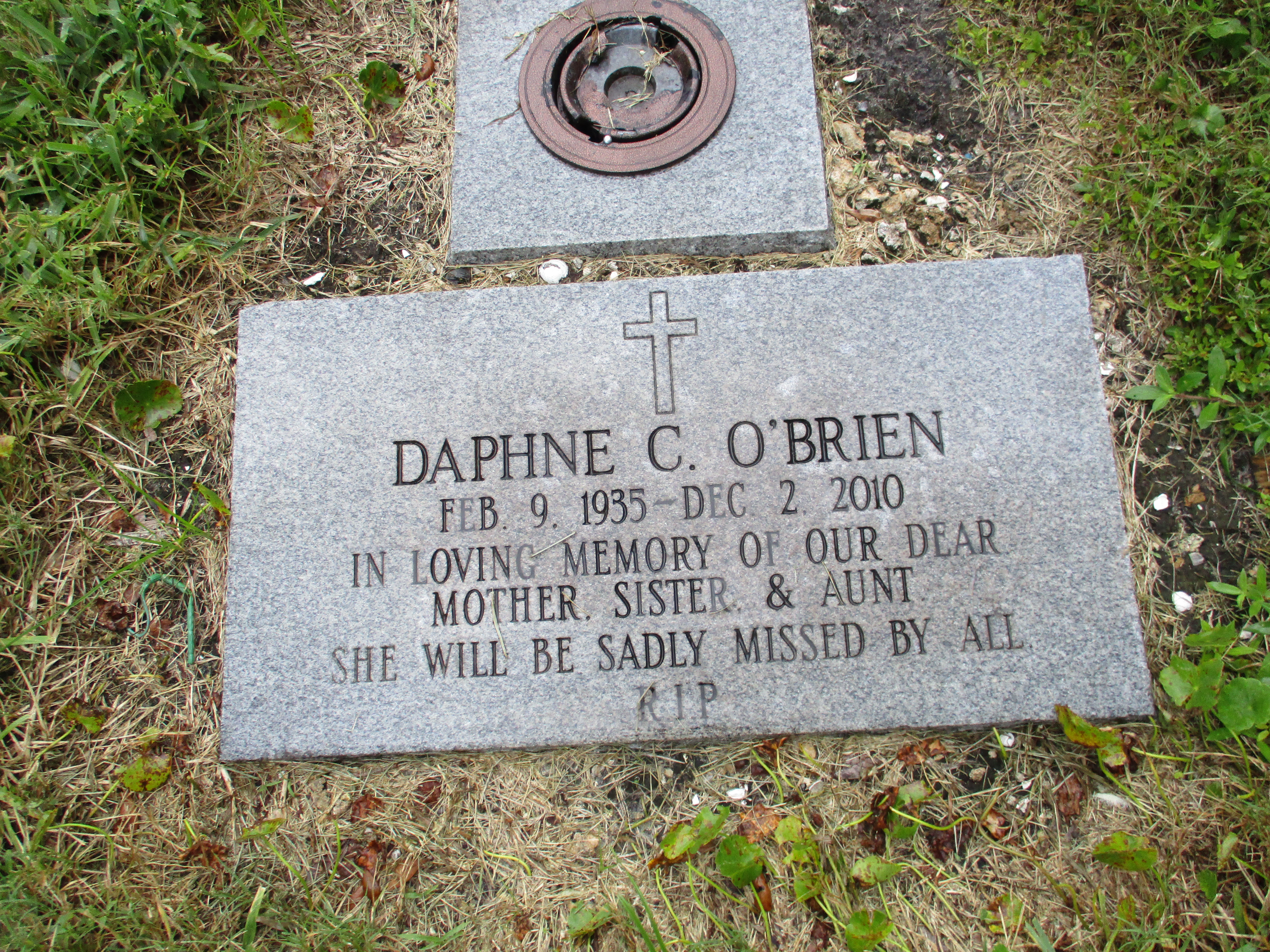 Daphne C O'Brien