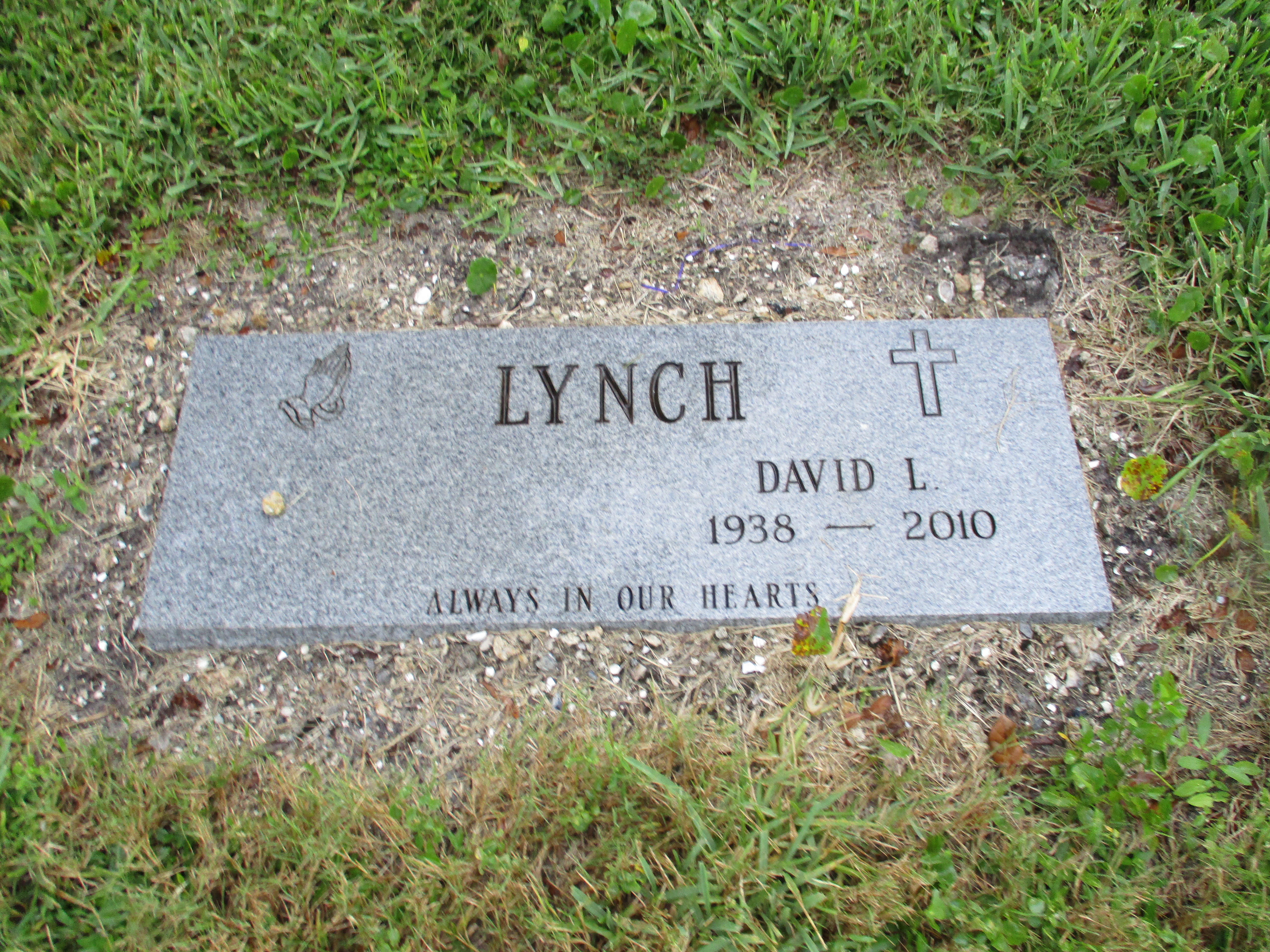David L Lynch