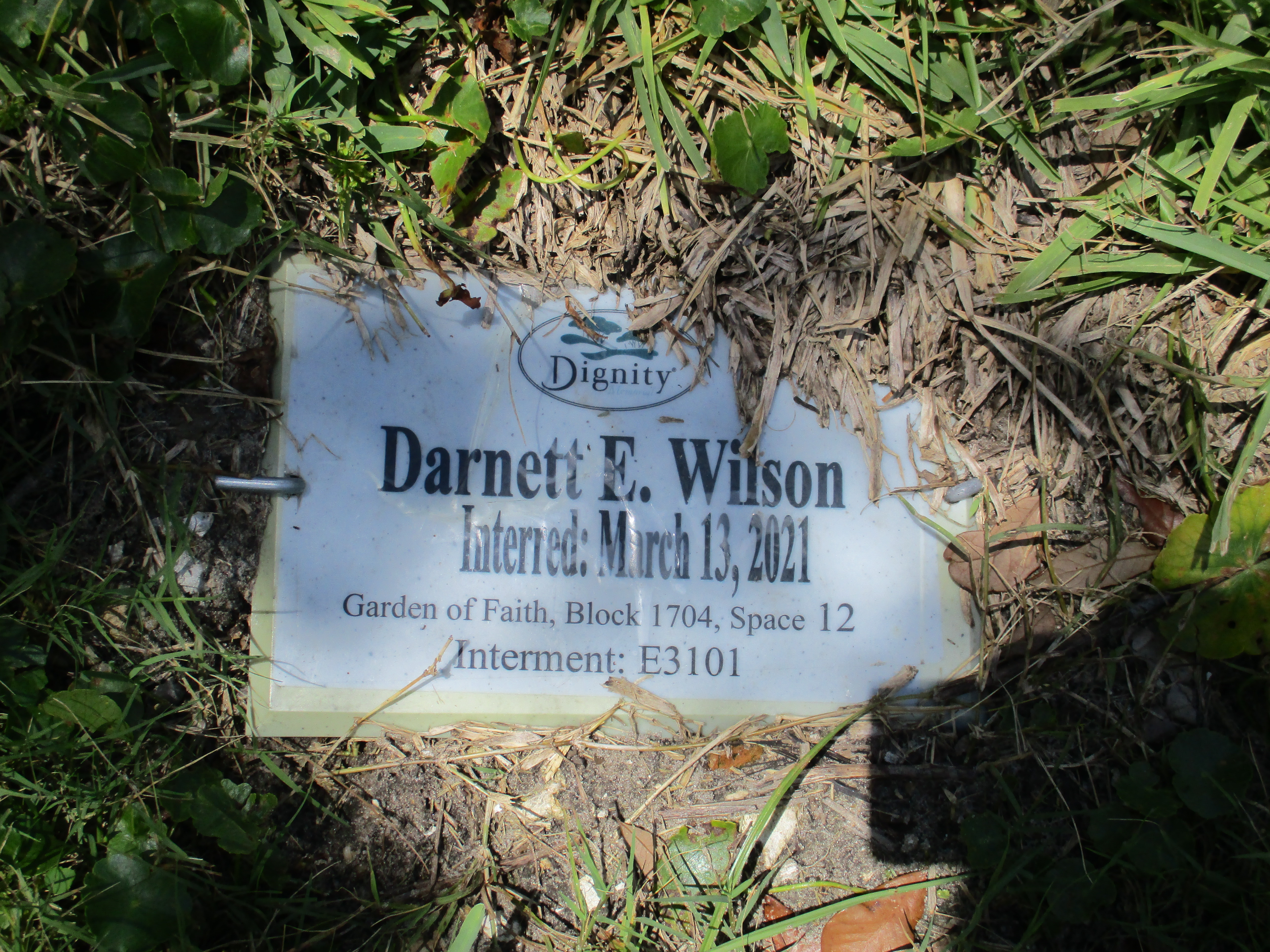 Darnett E Wilson