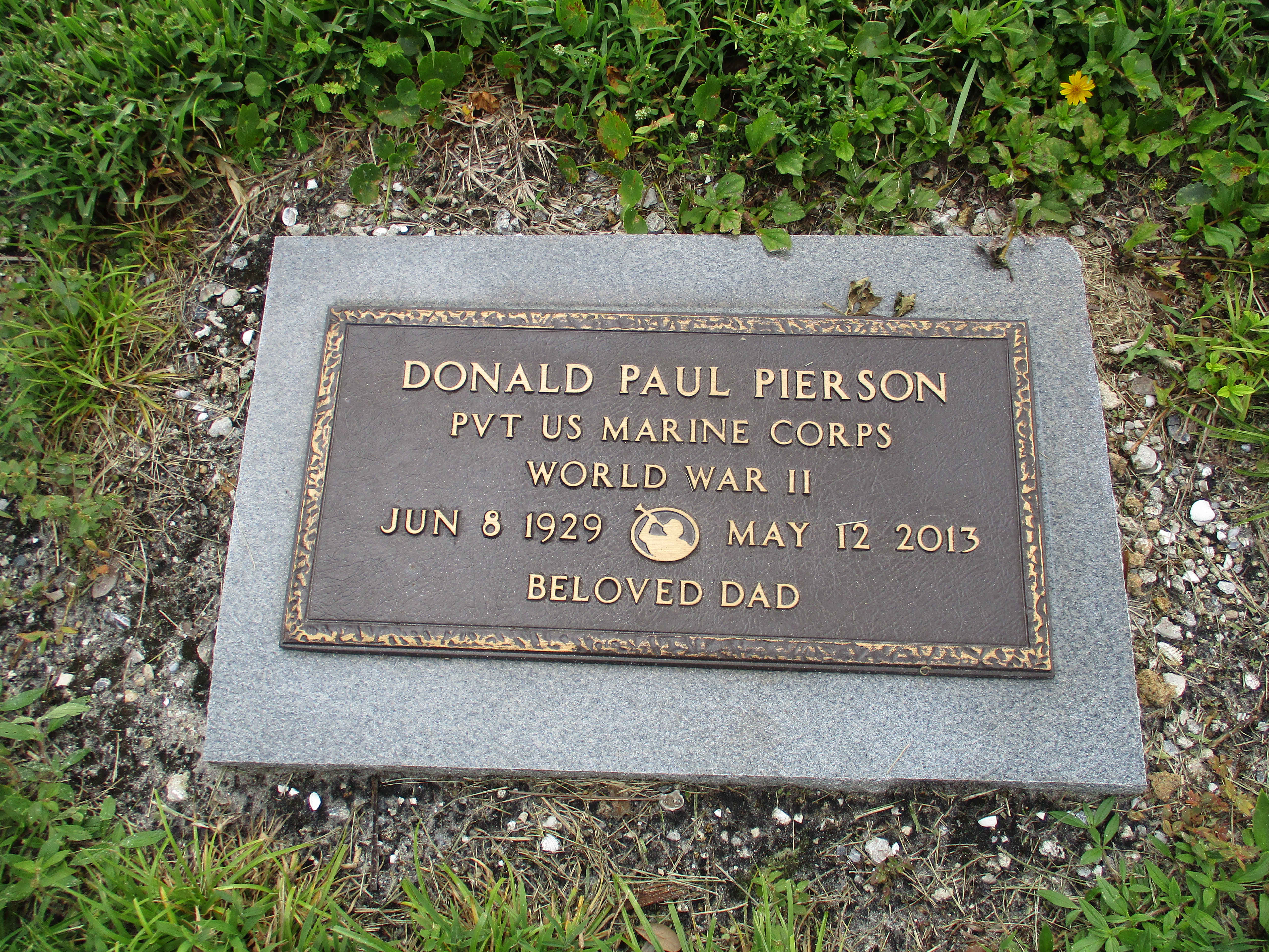 Donald Paul Pierson