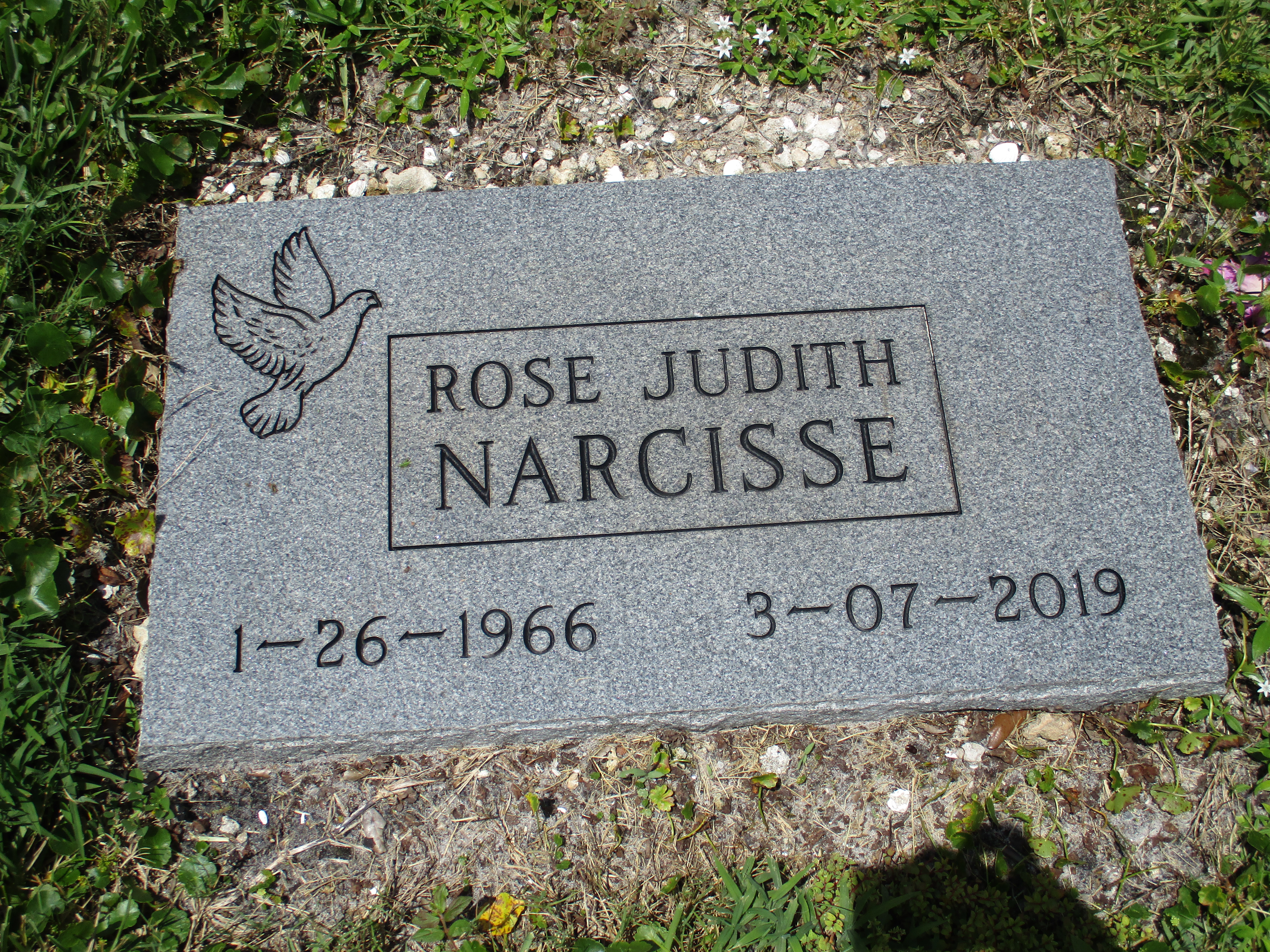 Rose Judith Narcisse