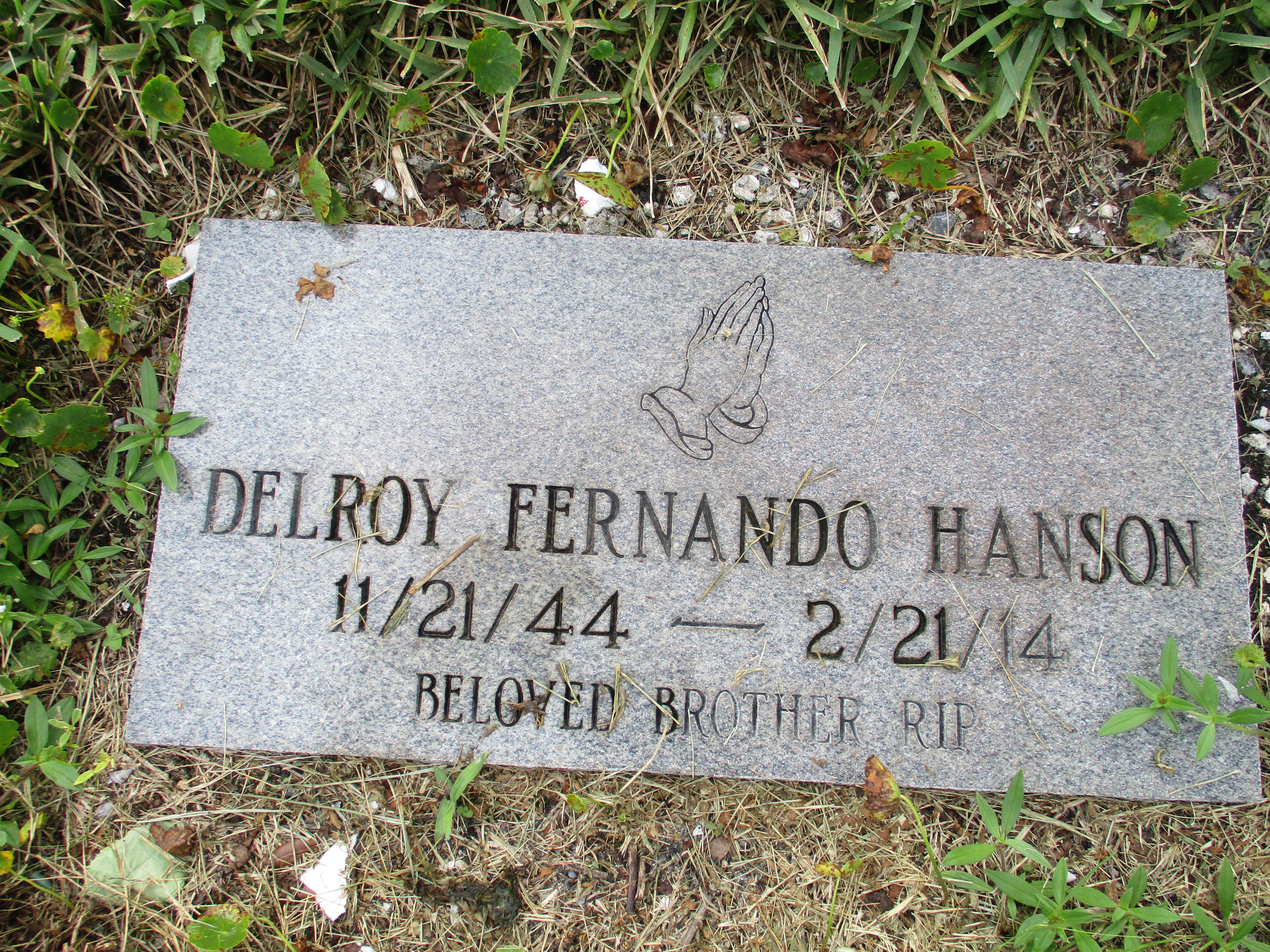 Delroy Fernando Hanson