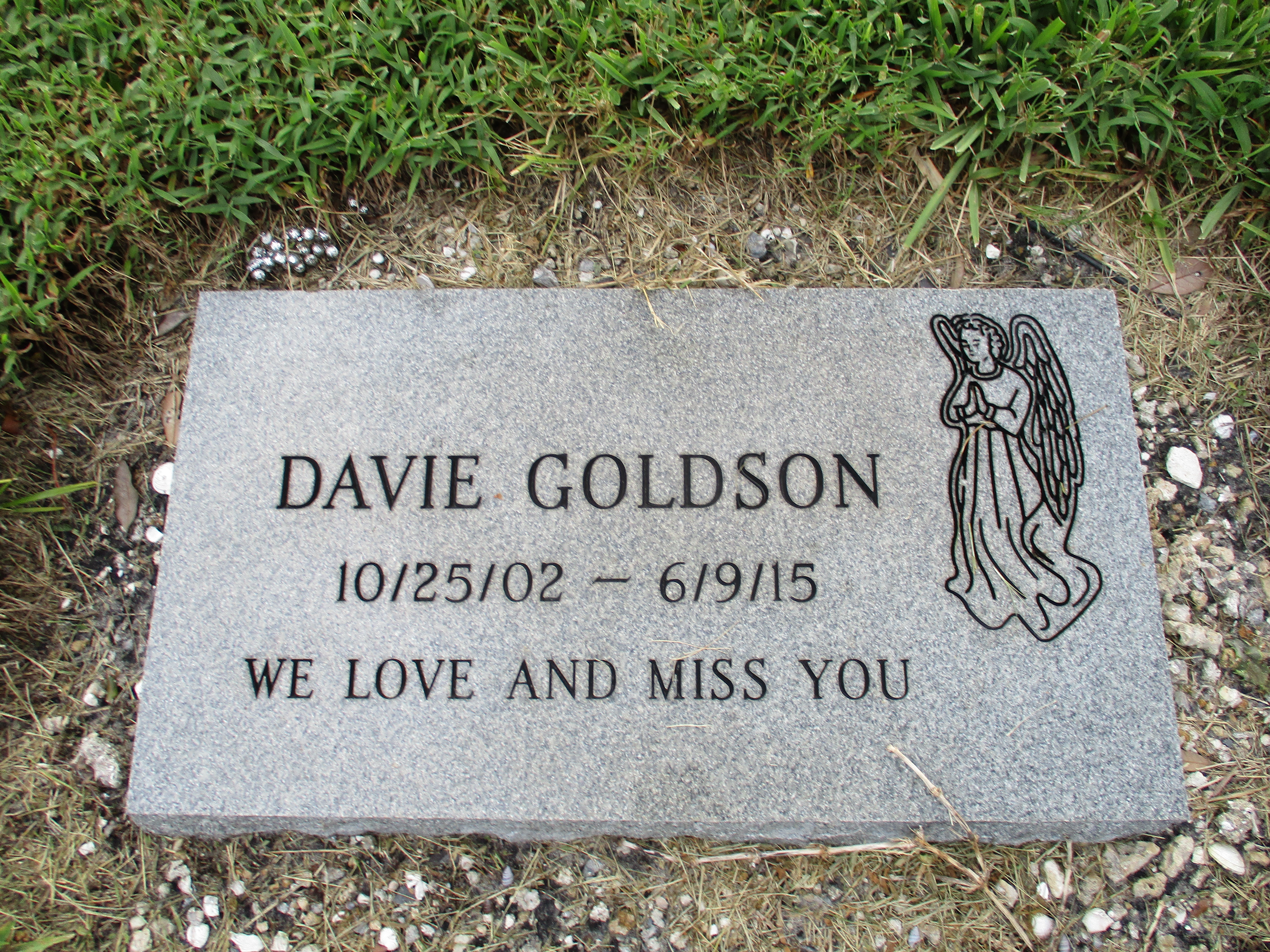 Davie Goldson