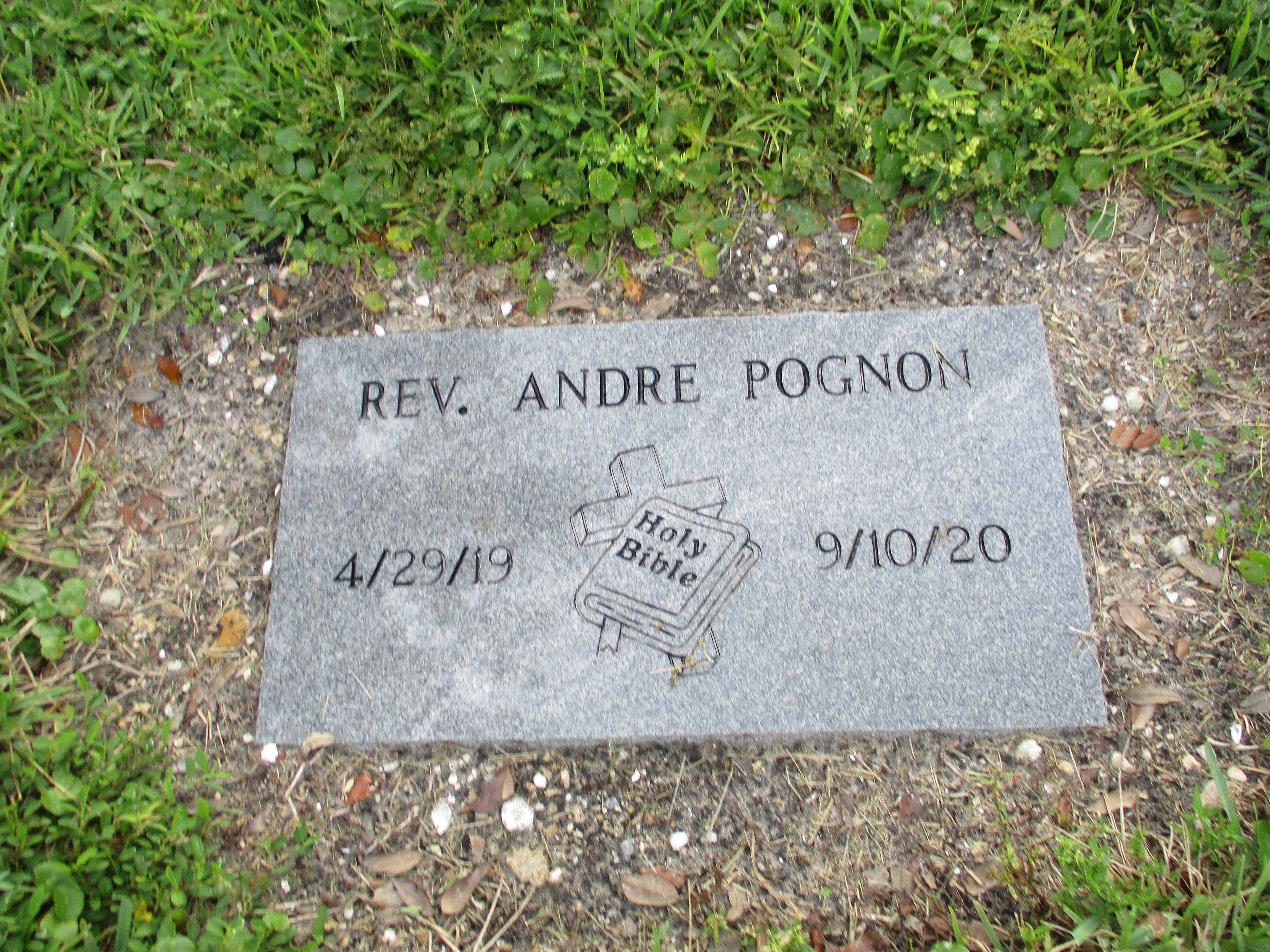 Andre Pognon
