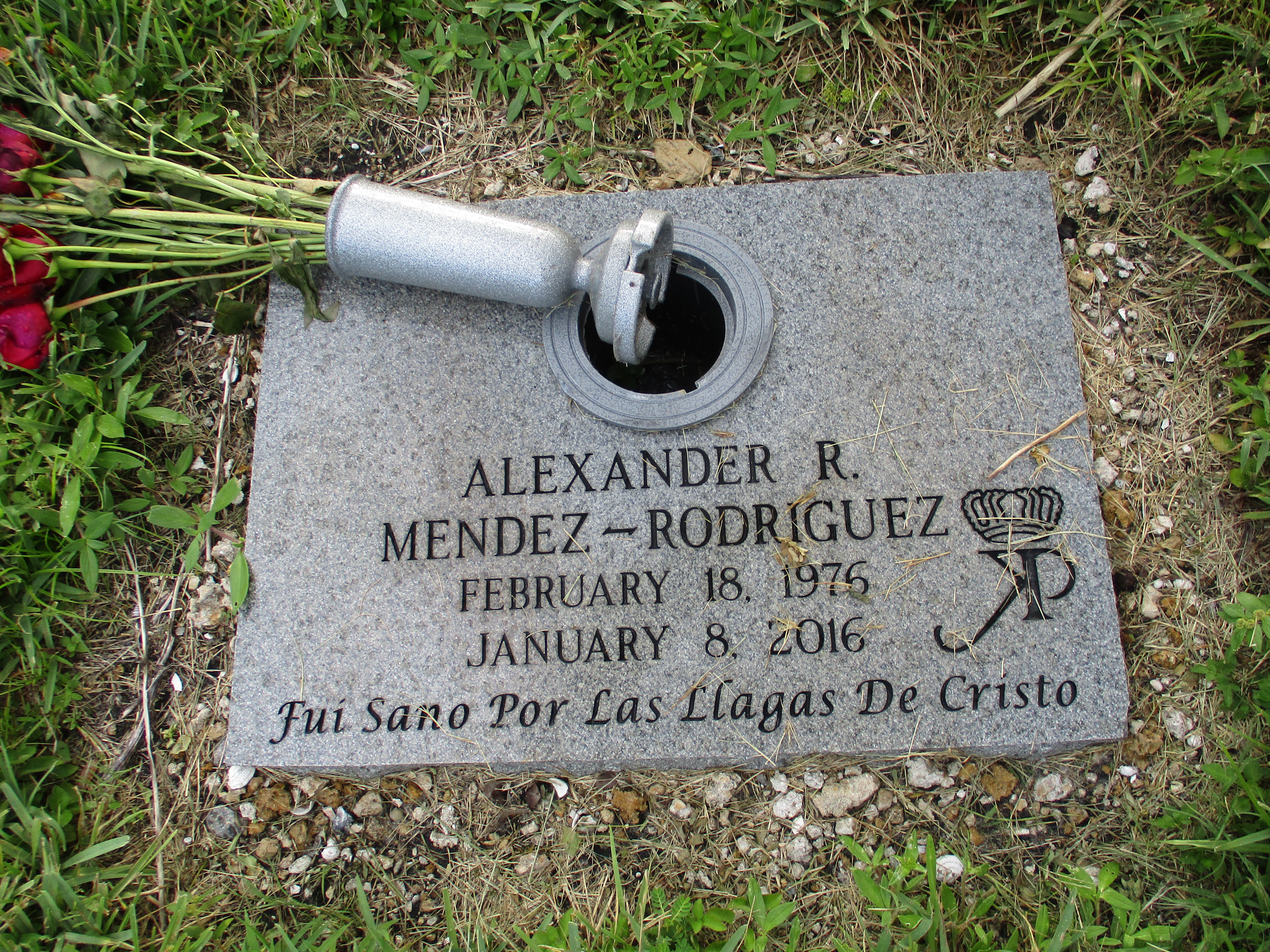 Alexander R Mendez-Rodriguez
