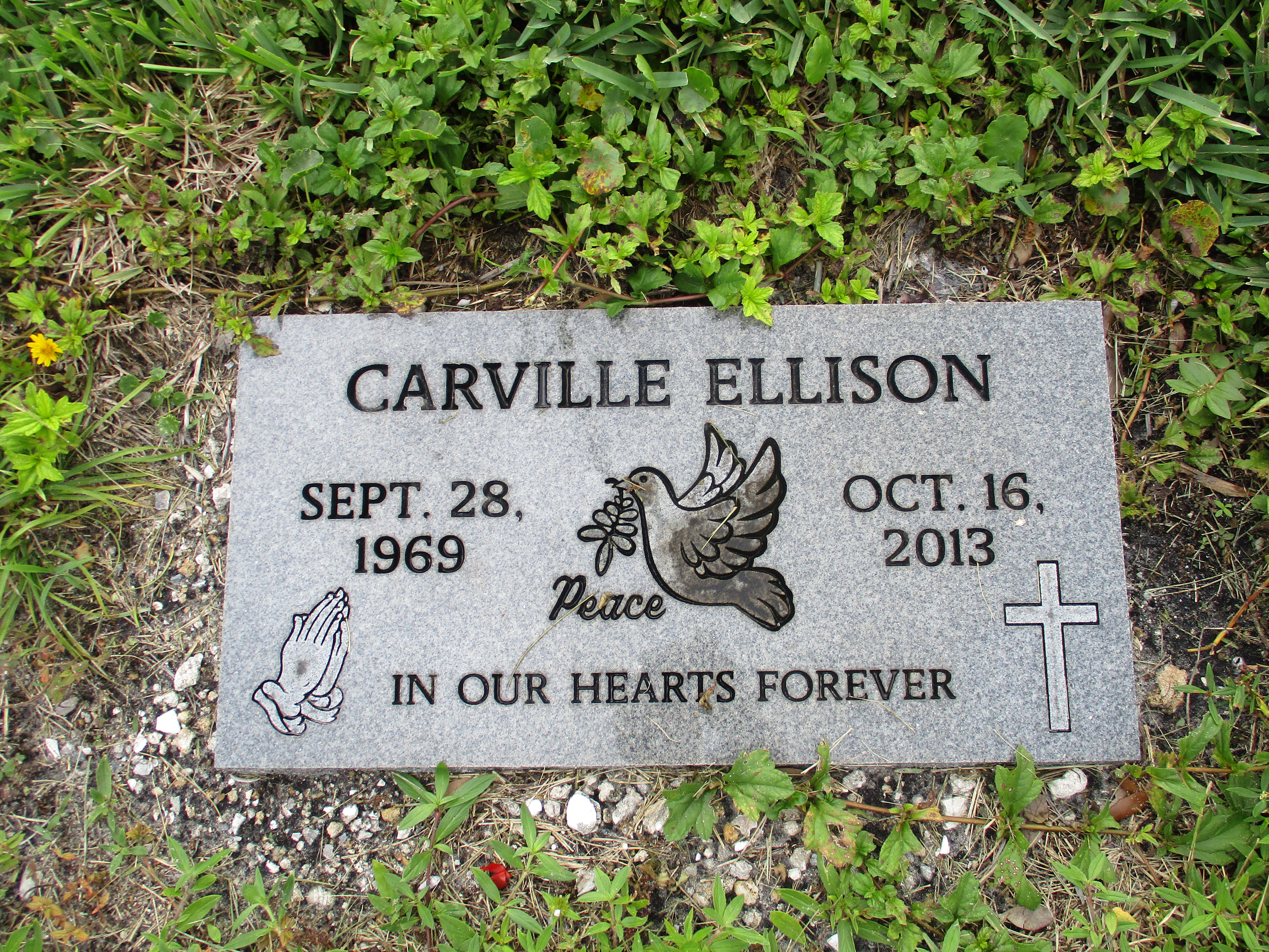 Carville Ellison