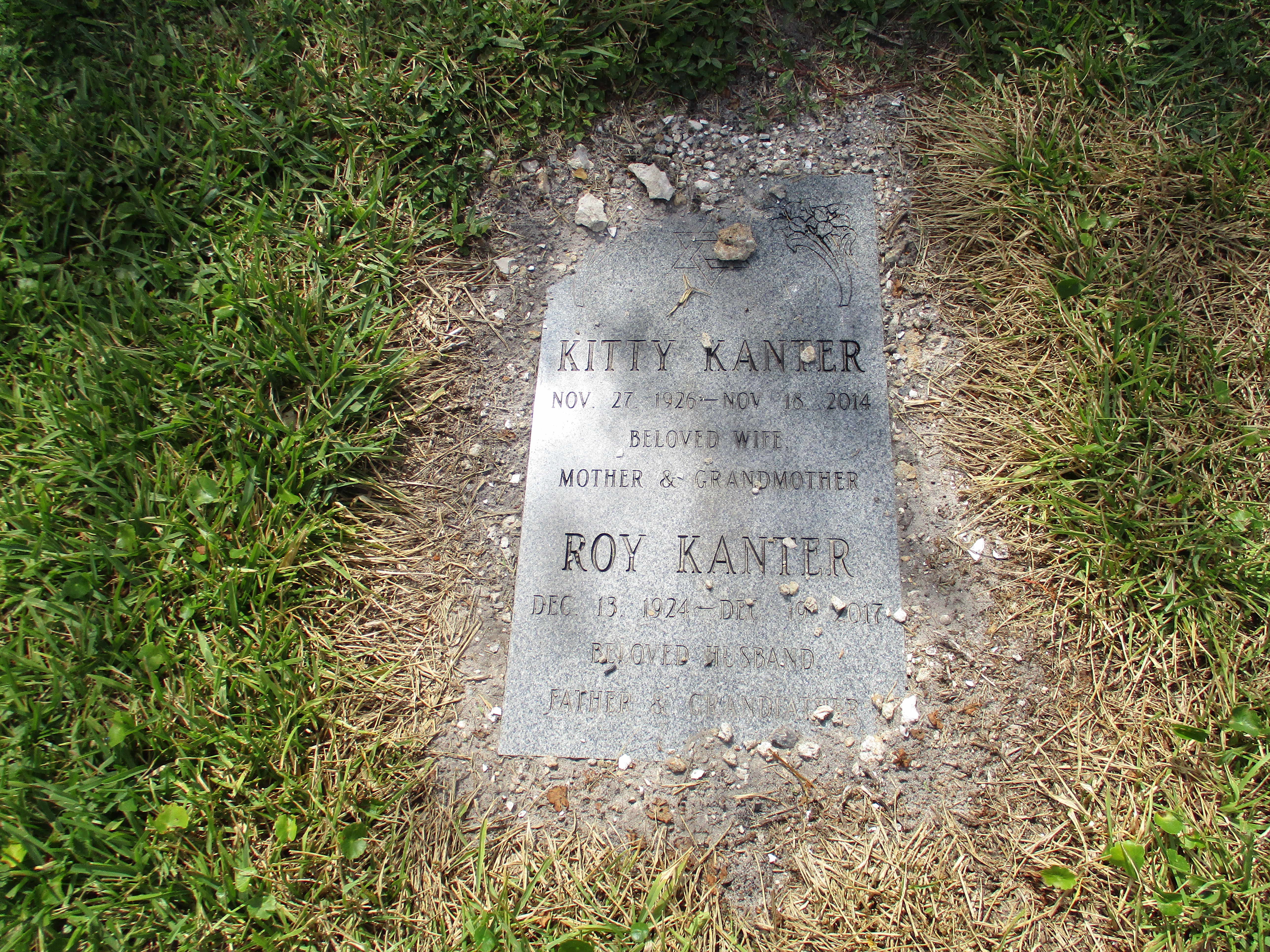 Roy Kanter