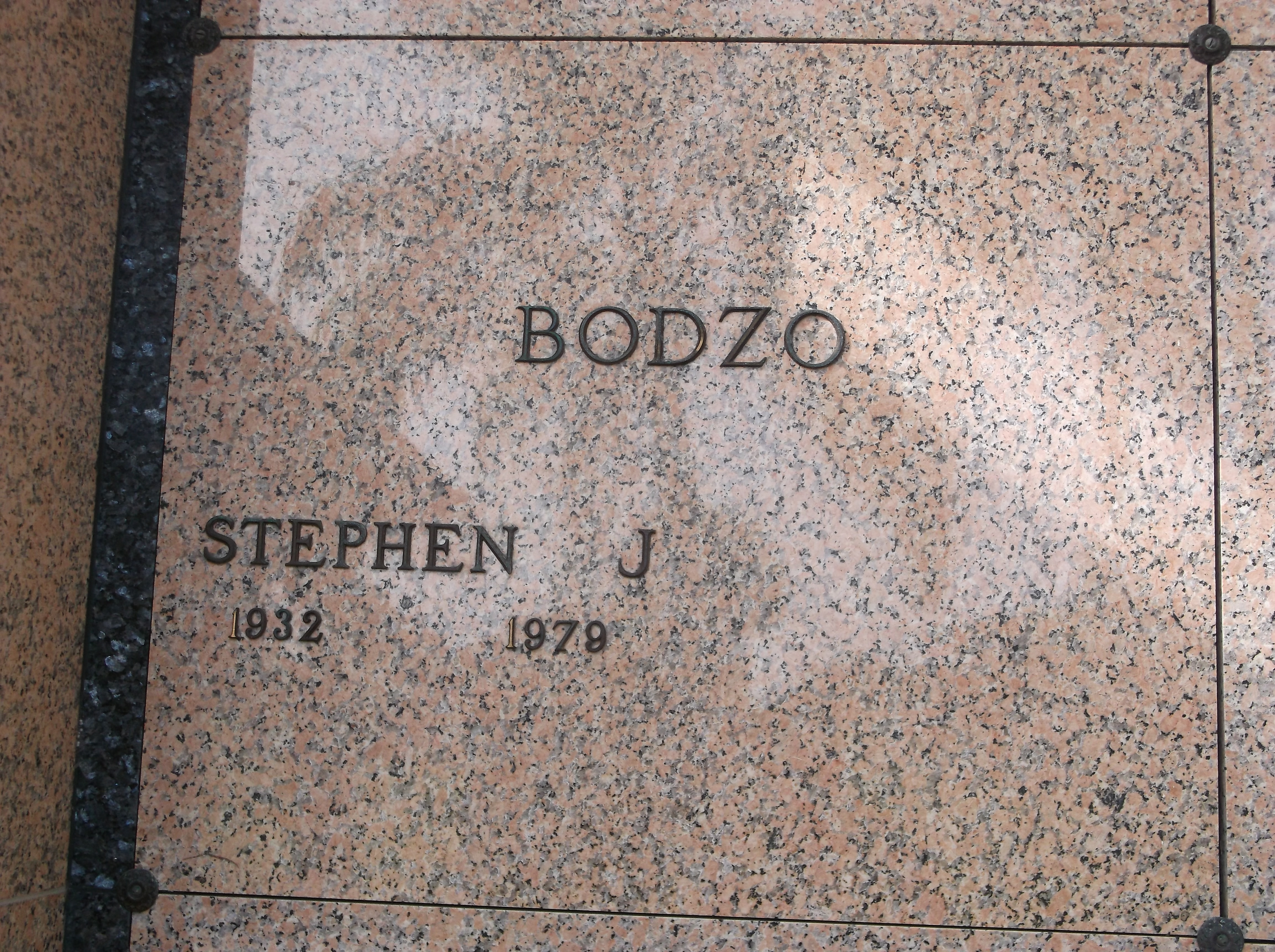 Stephen J Bodzo