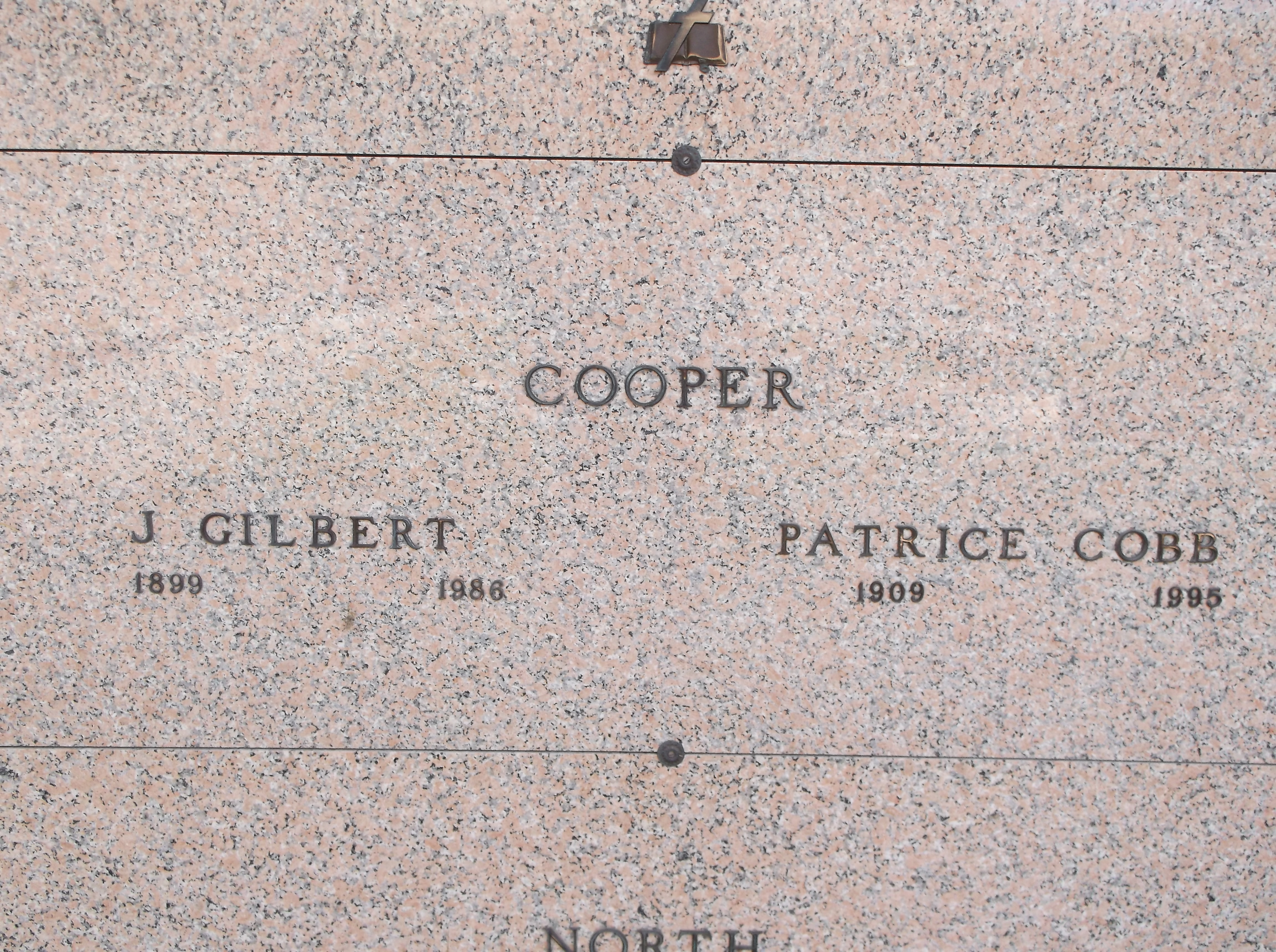 Patrice Cobb Cooper