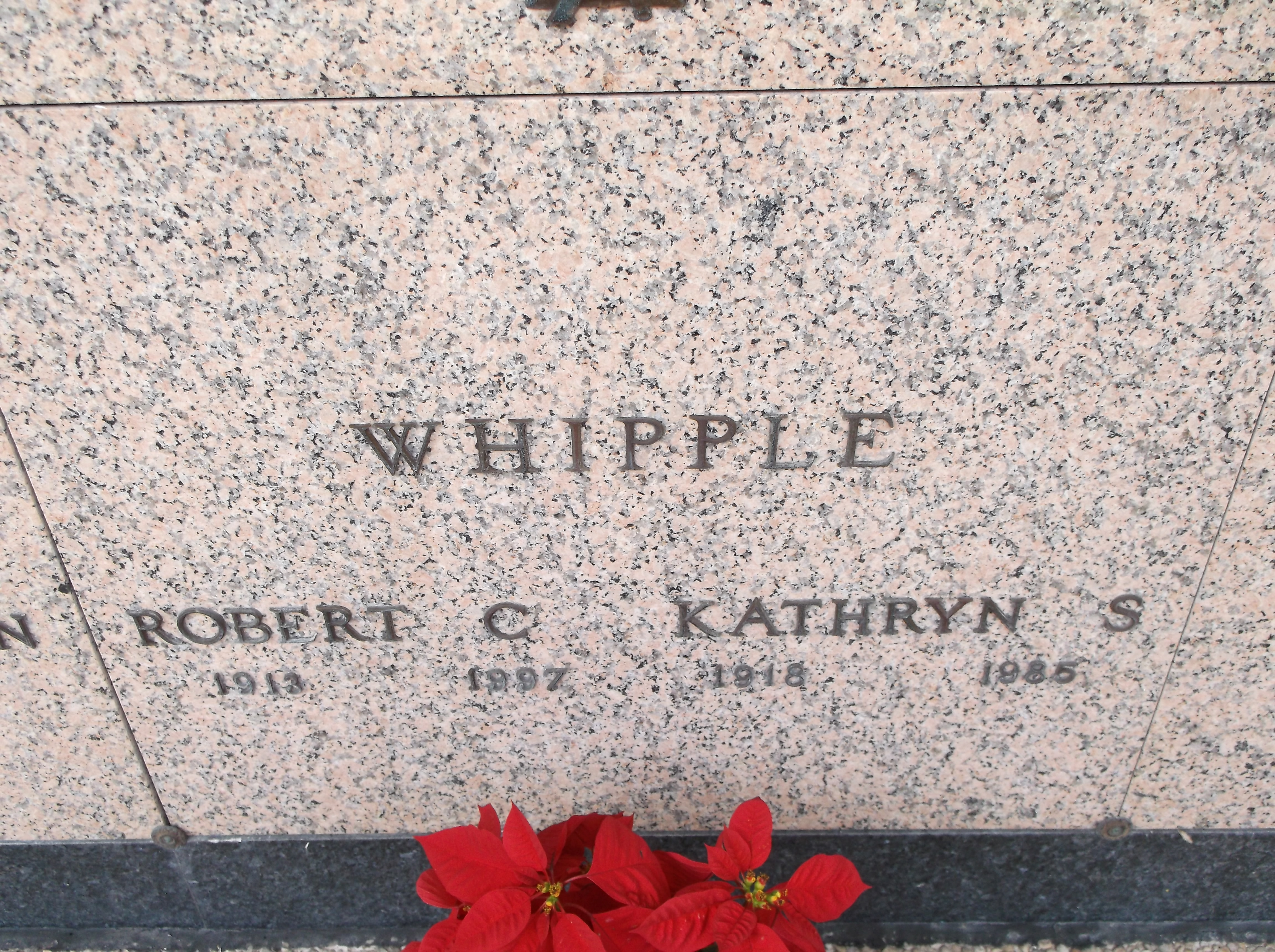 Kathryn S Whipple