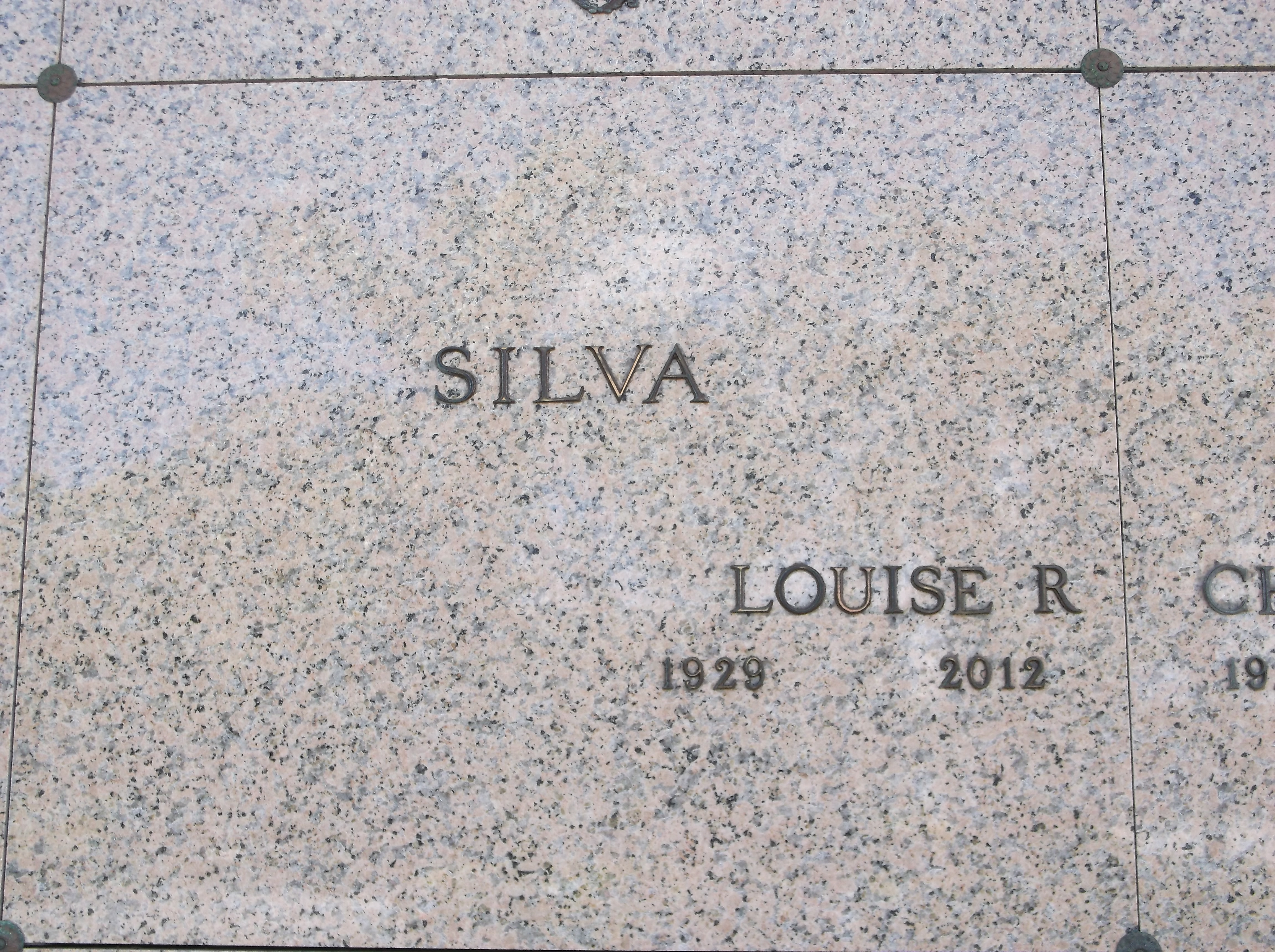 Louise R Silva