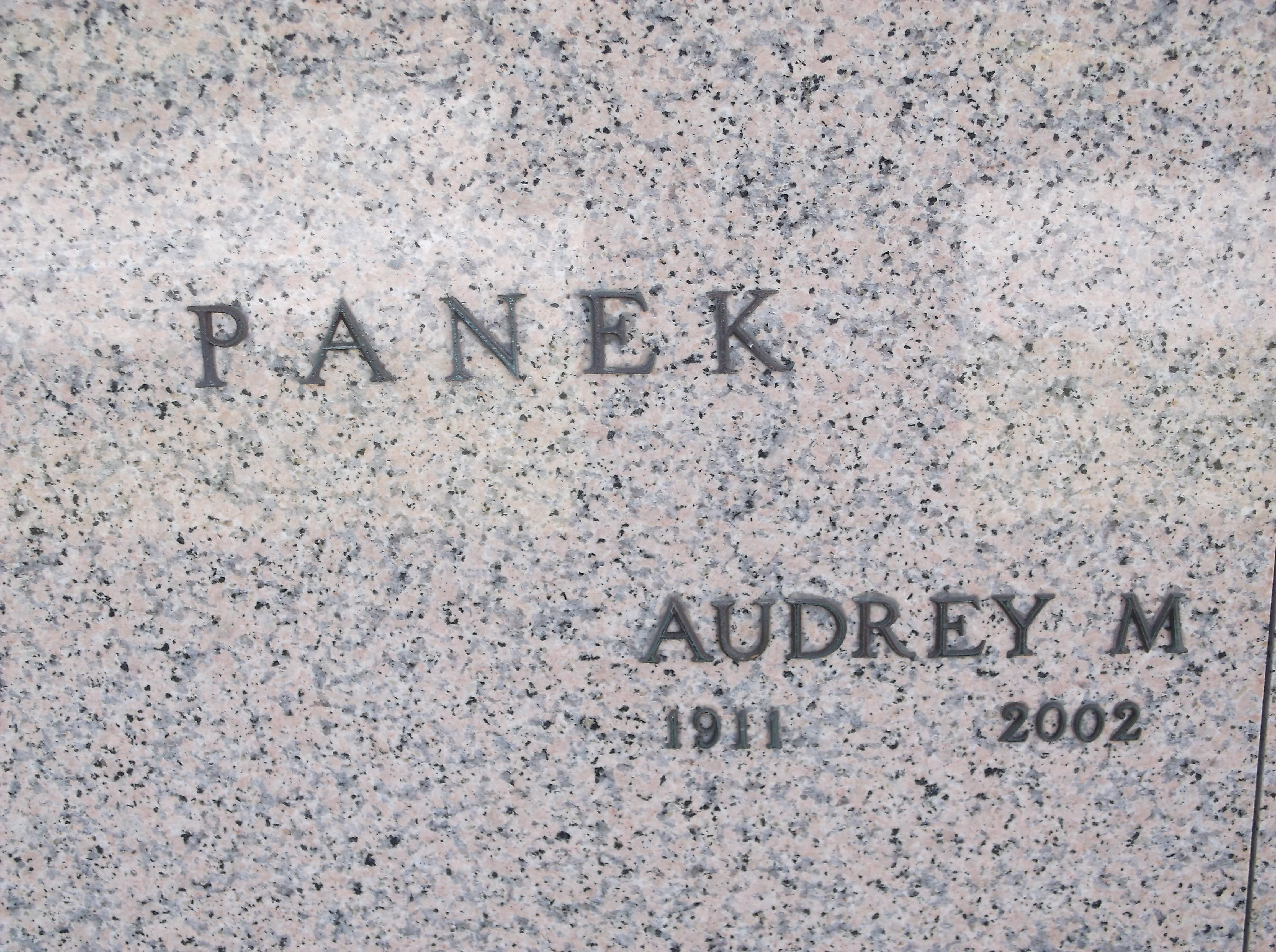 Audrey M Panek