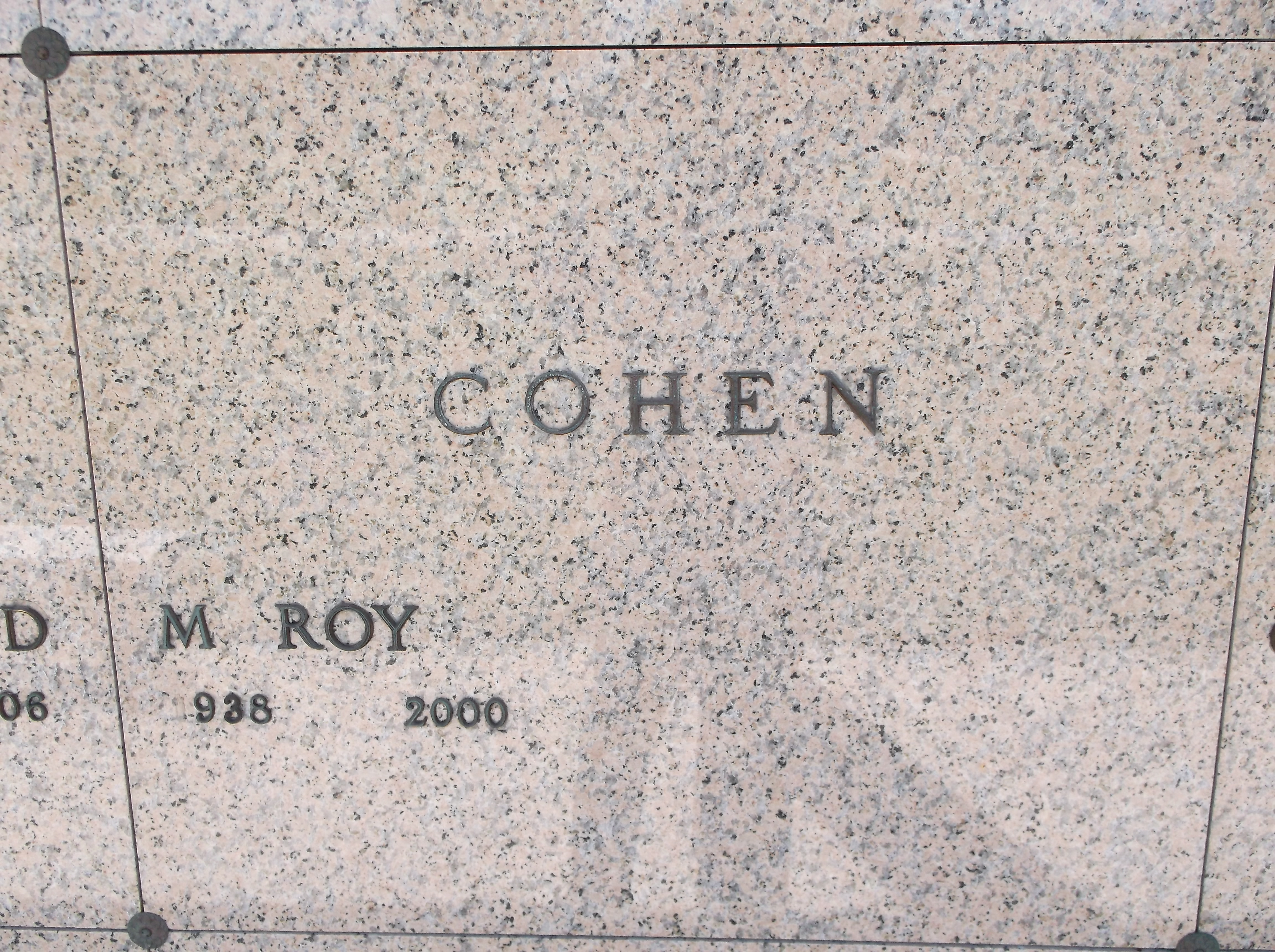 M Roy Cohen