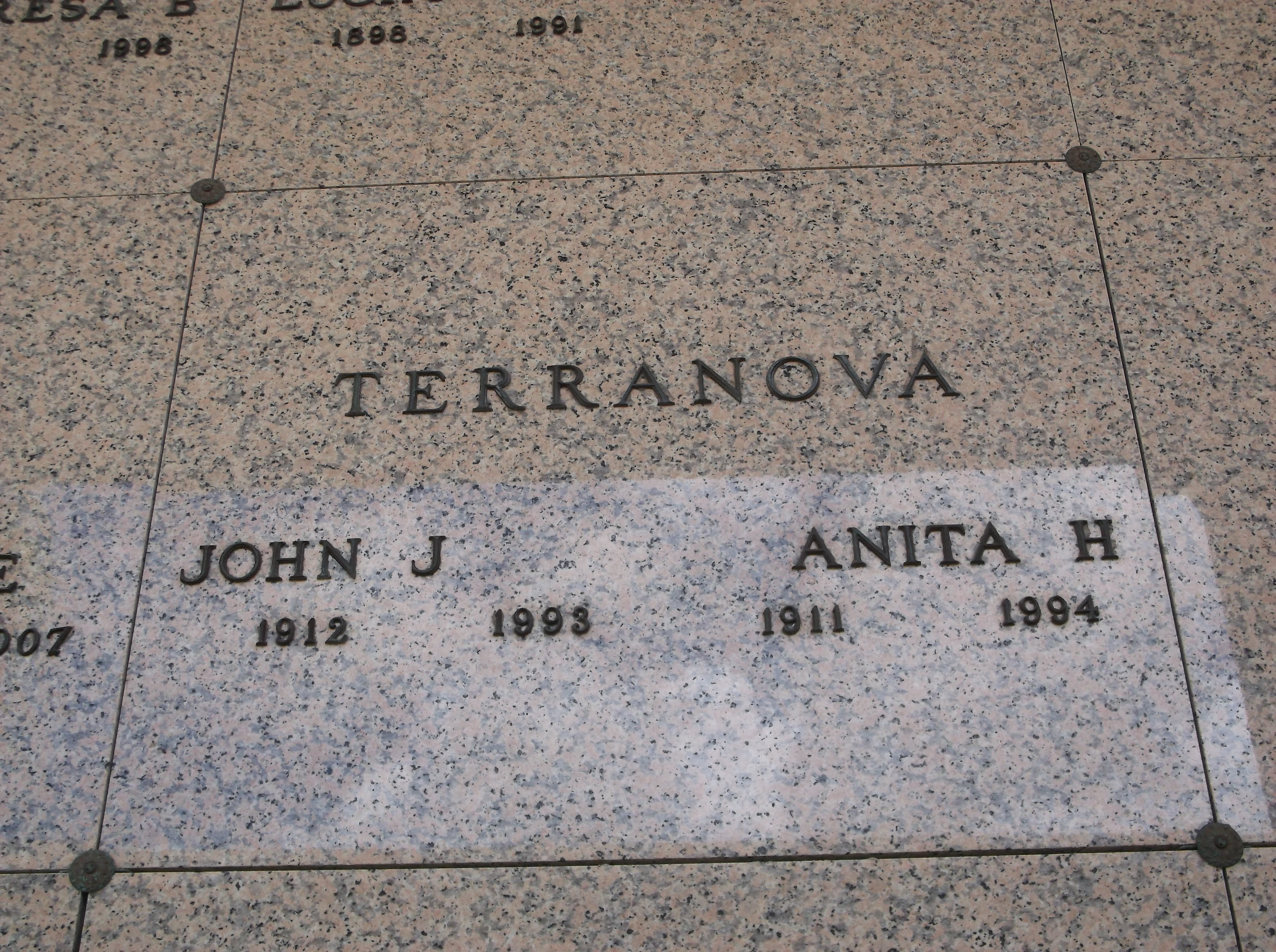 John J Terranova