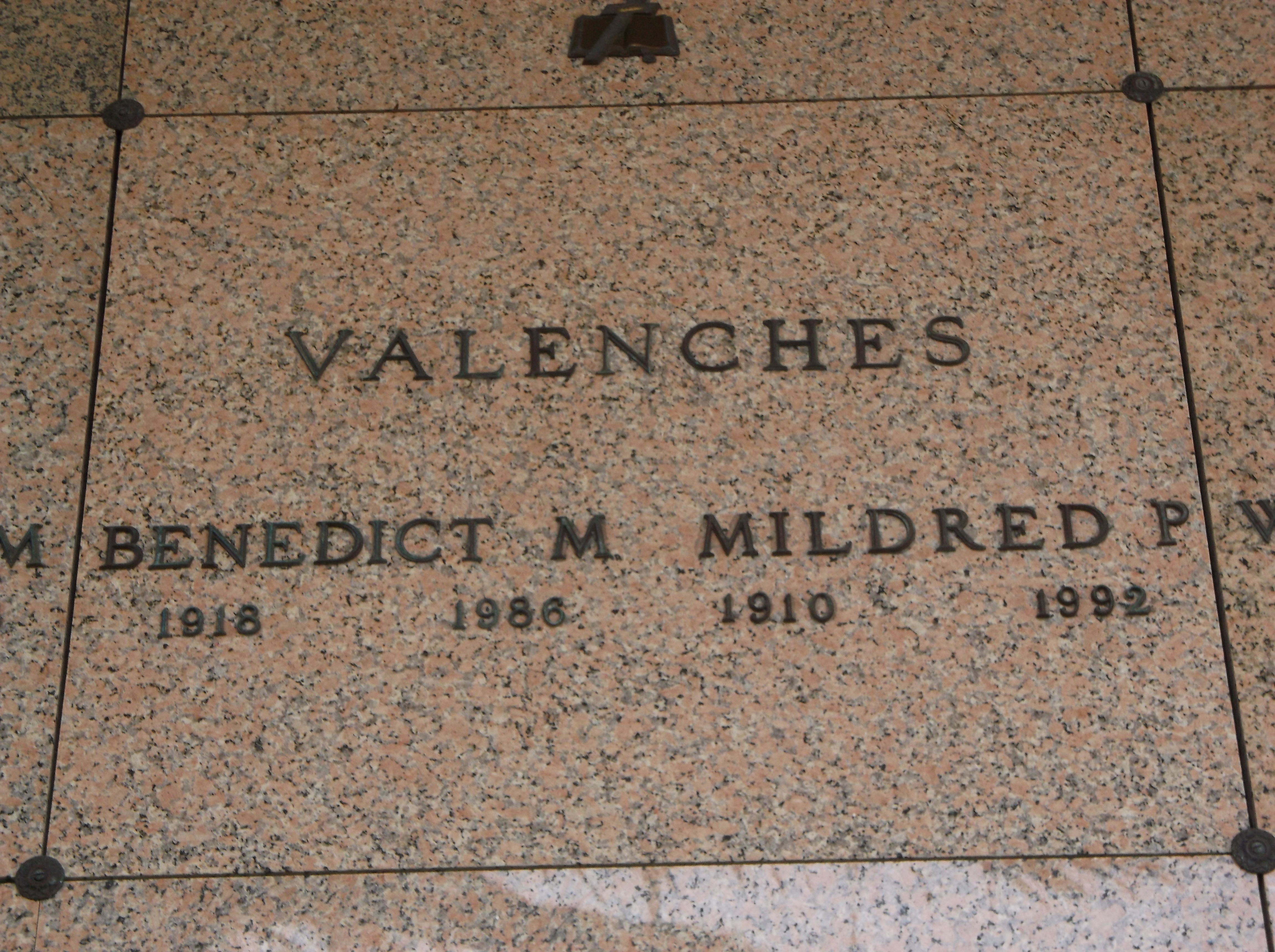 Benedict M Valenches