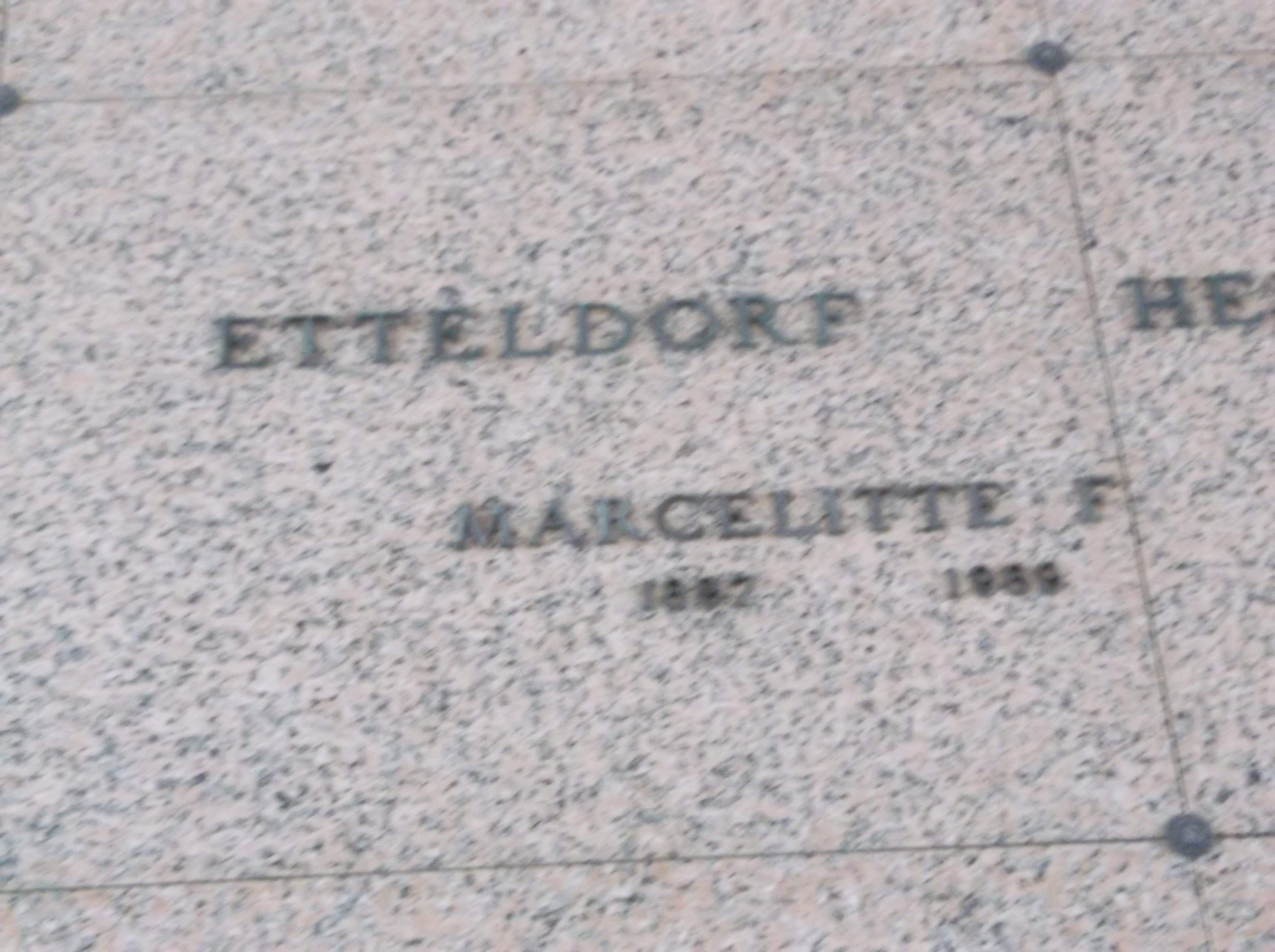 Marcelitte F Etteldorf