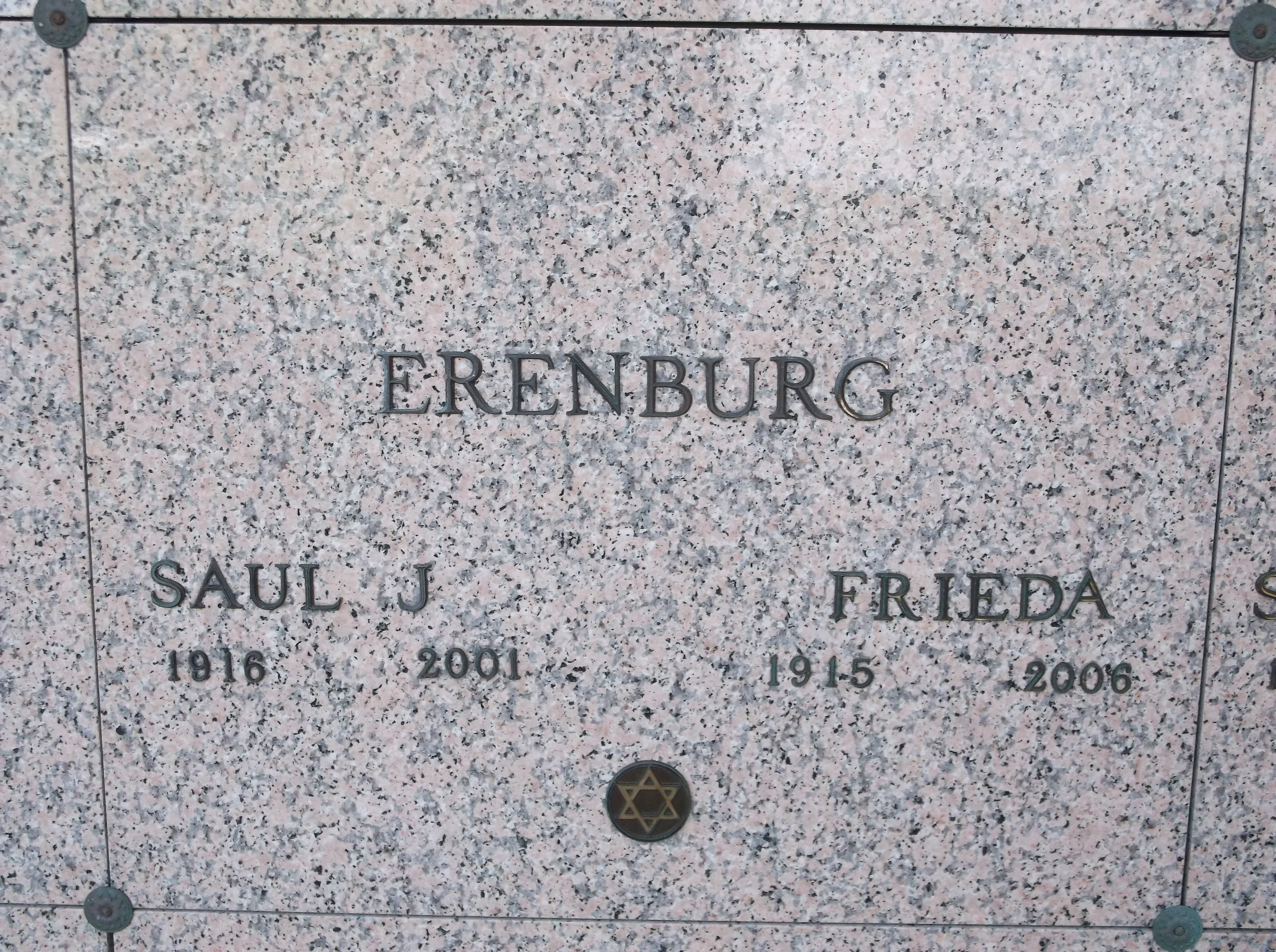 Saul J Erenburg