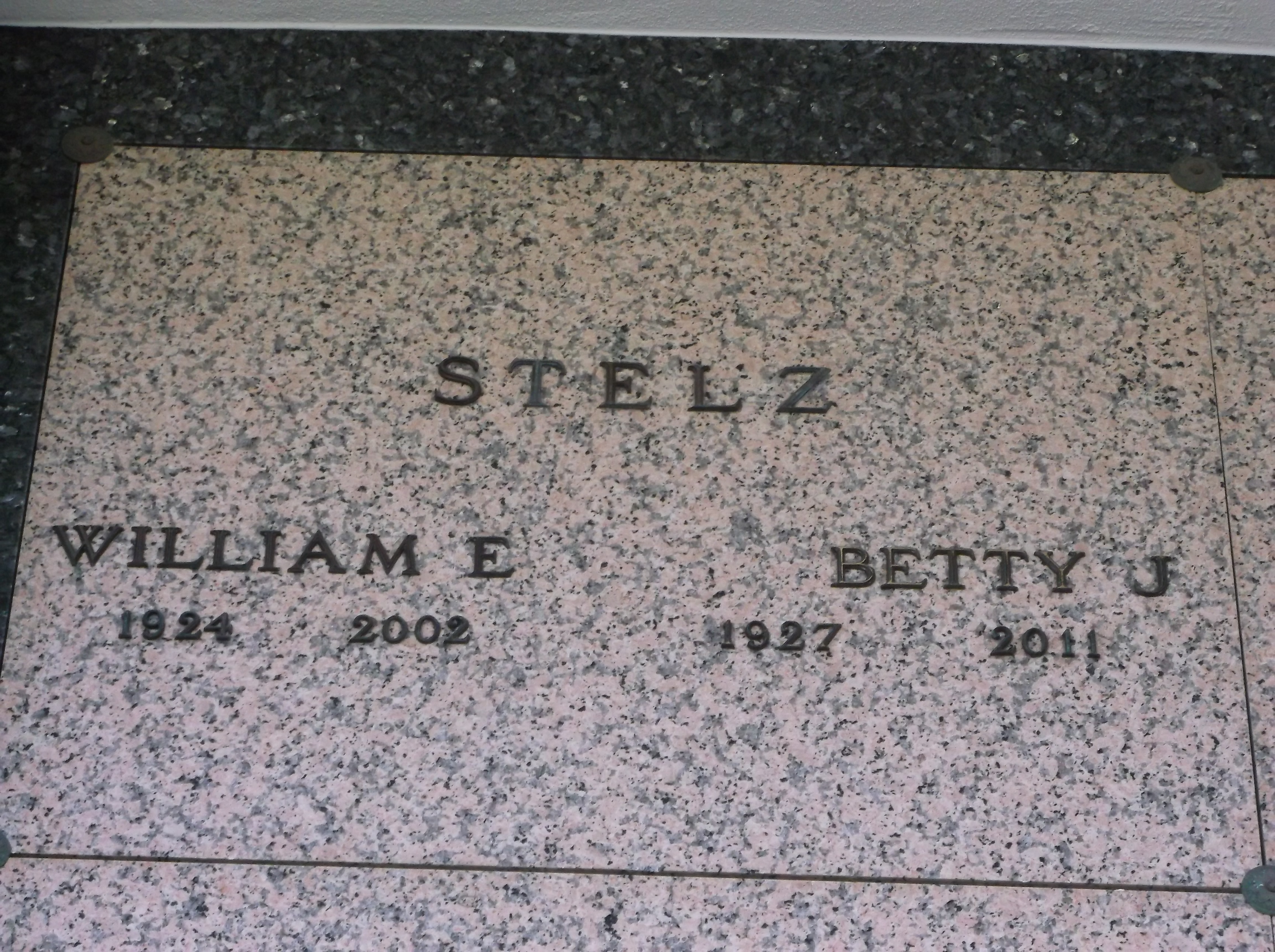 William E Stelz