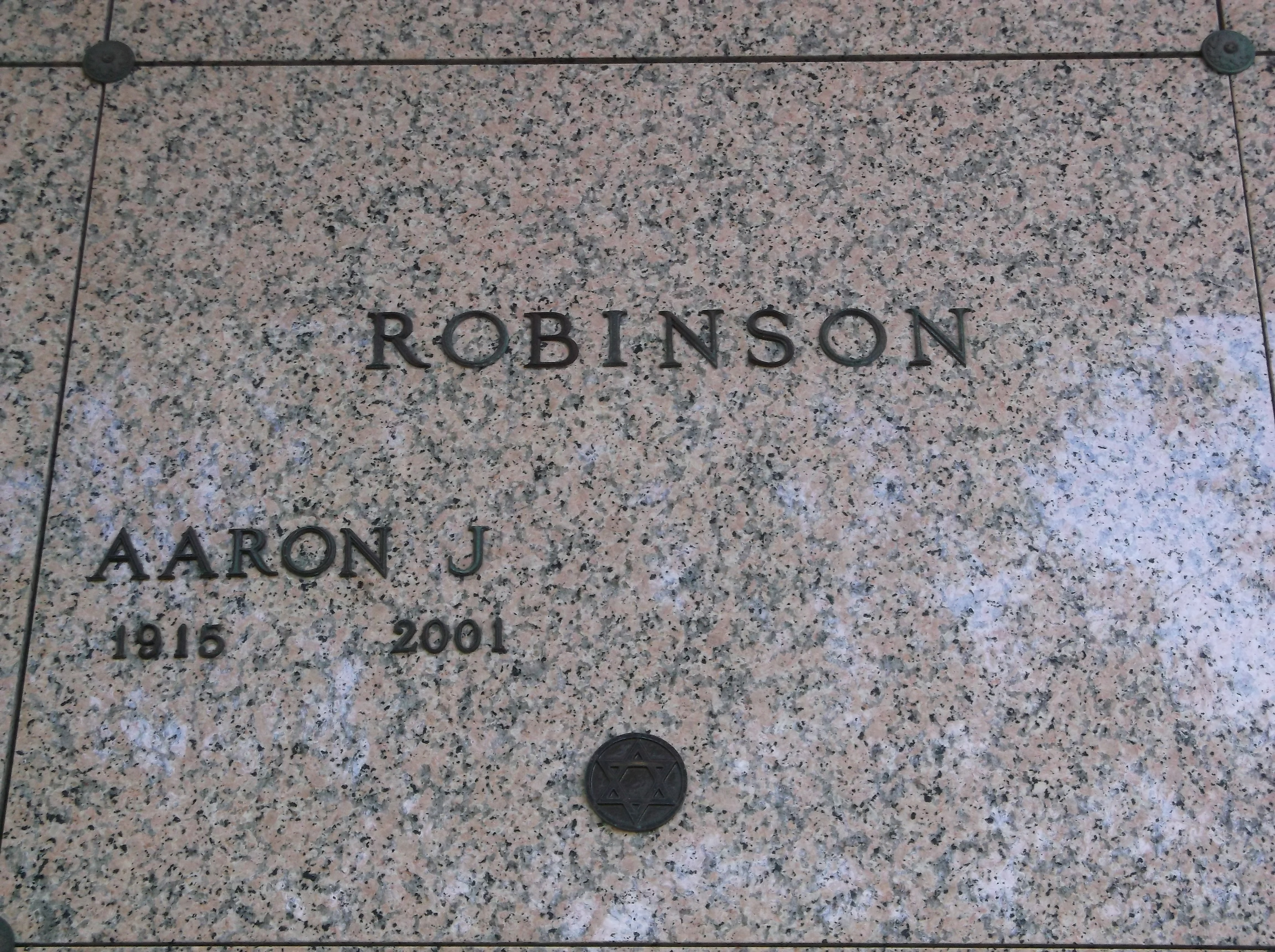 Aaron J Robinson