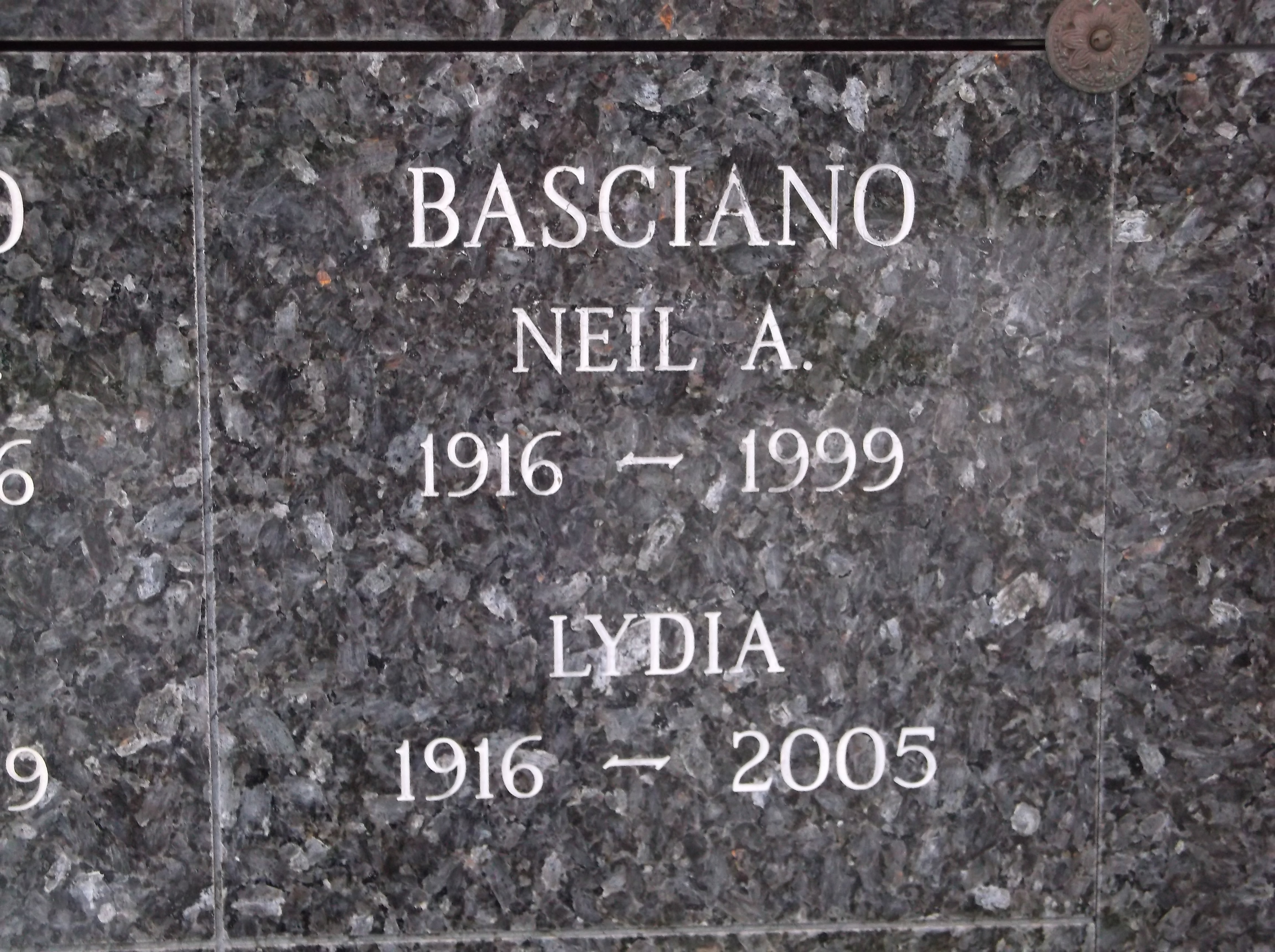 Neil A Basciano