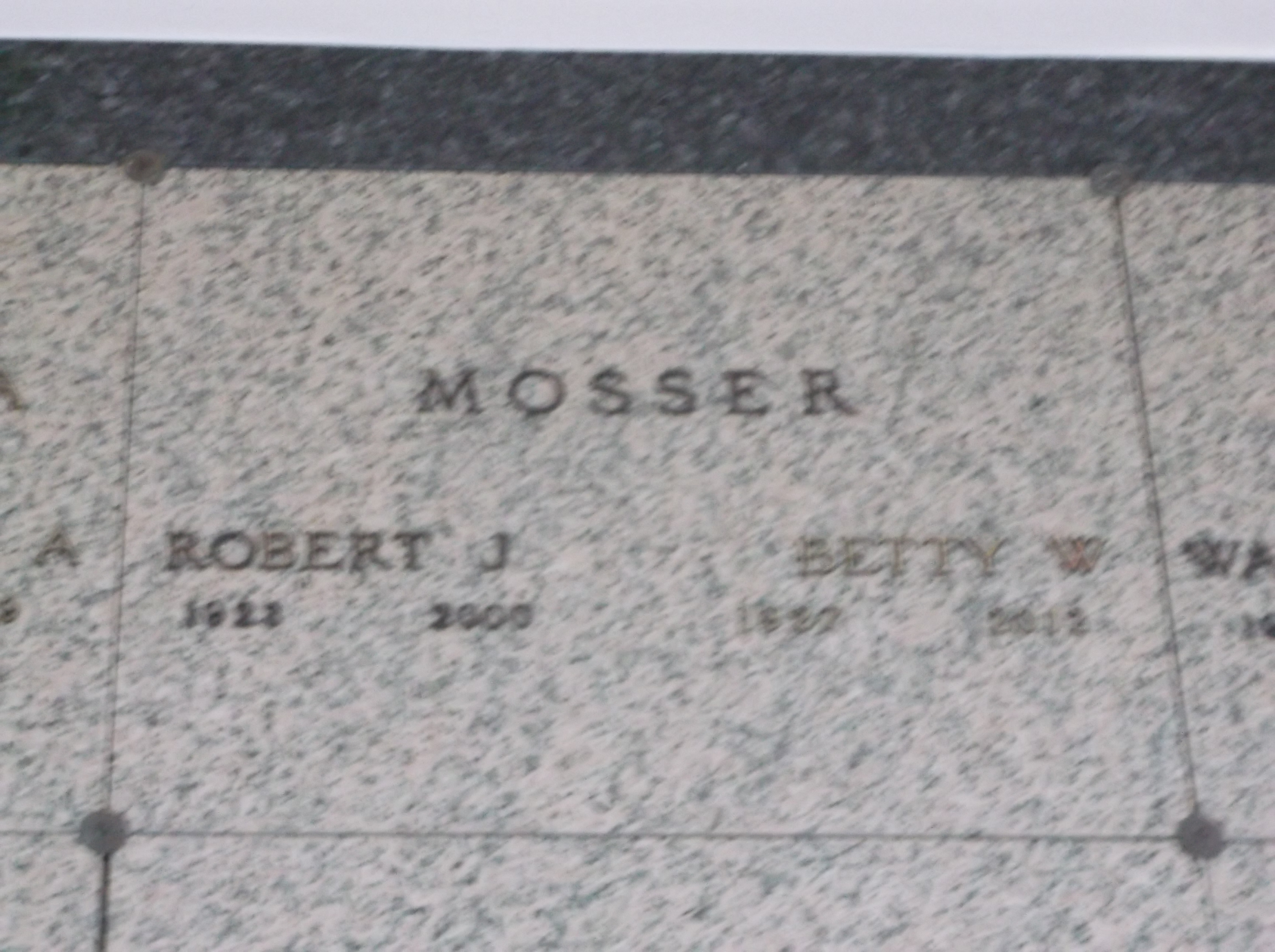Robert J Mosser