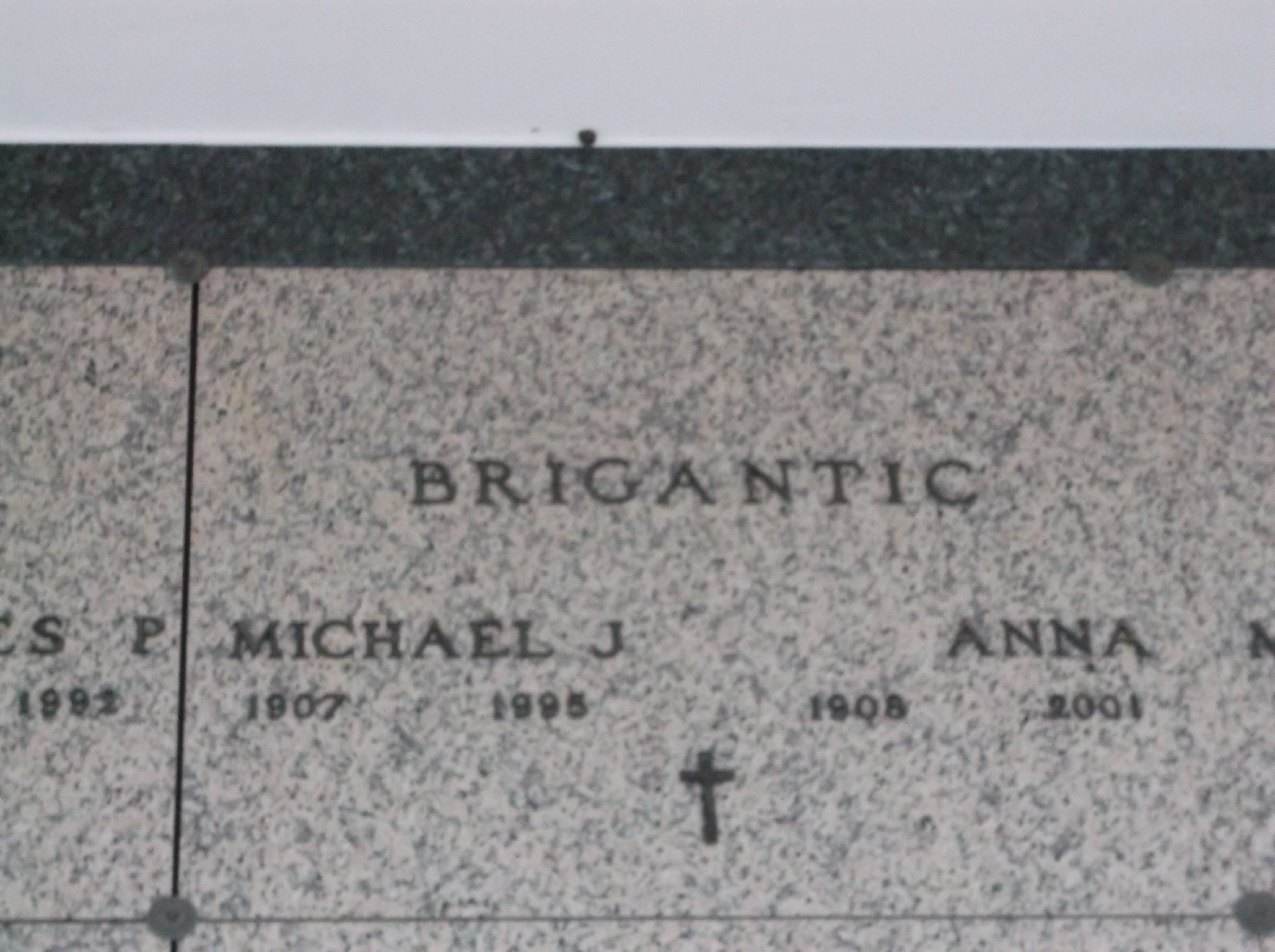 Michael J Brigantic