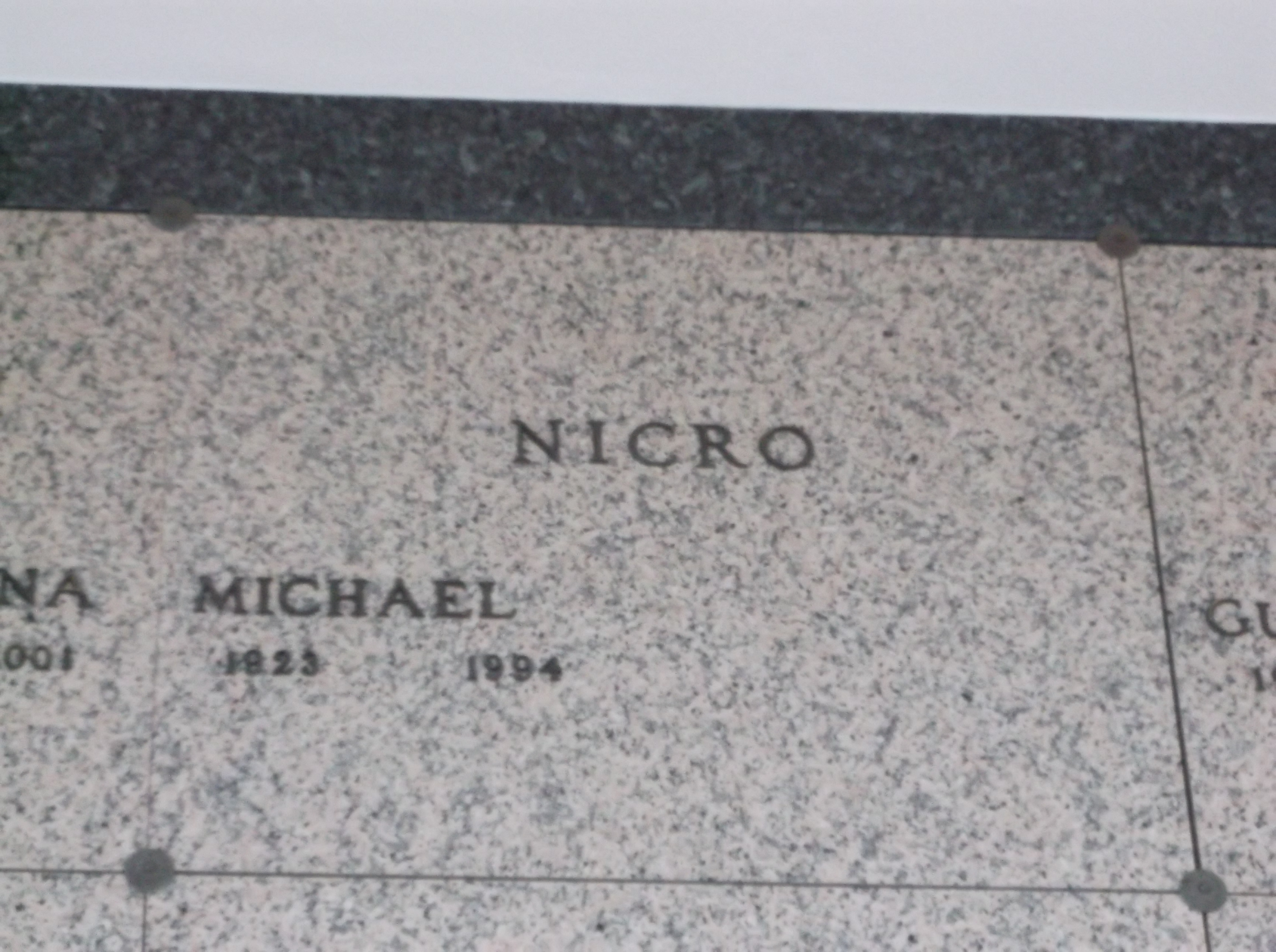 Michael Nicro