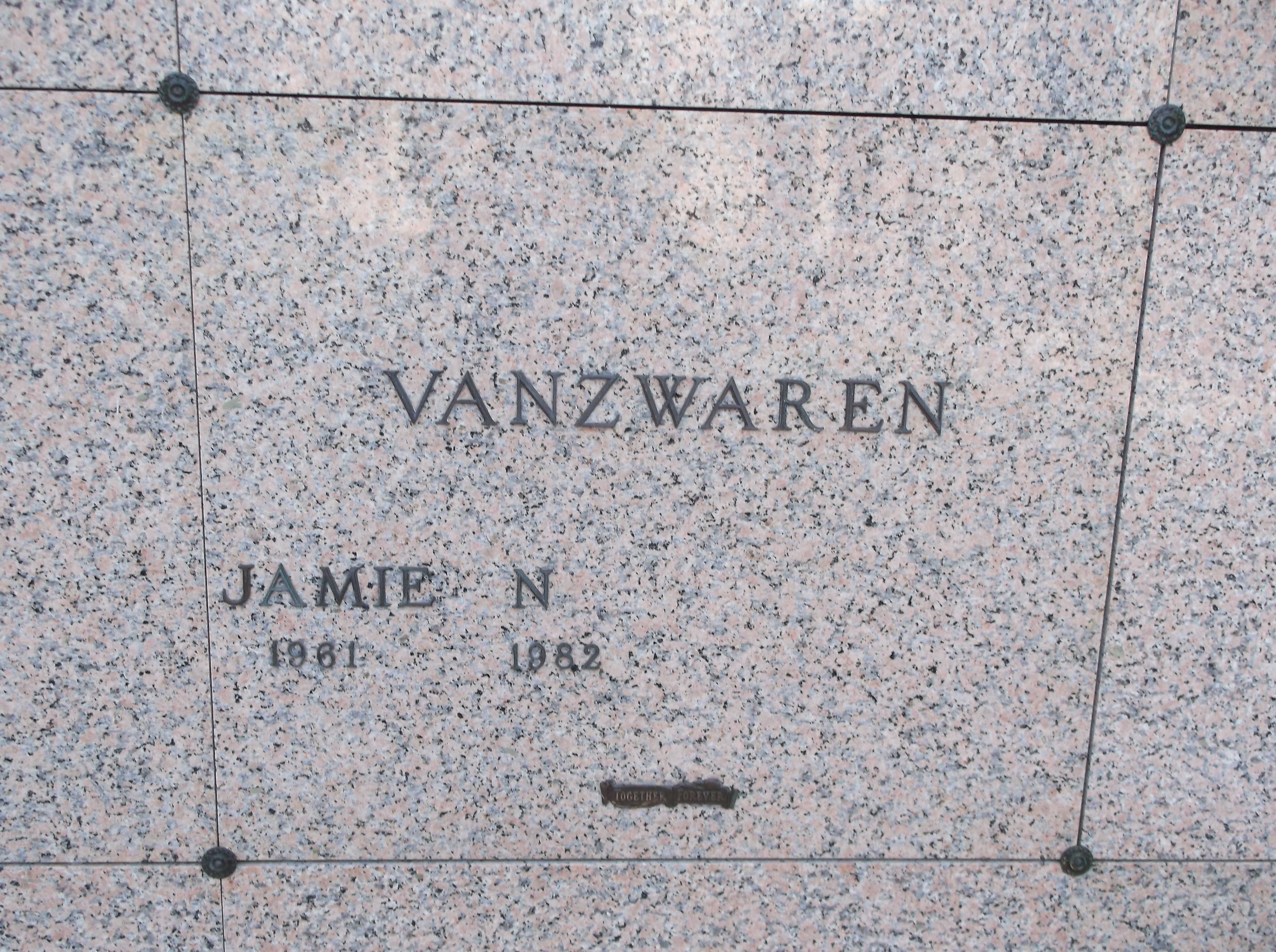 Jamie N Vanzwaren