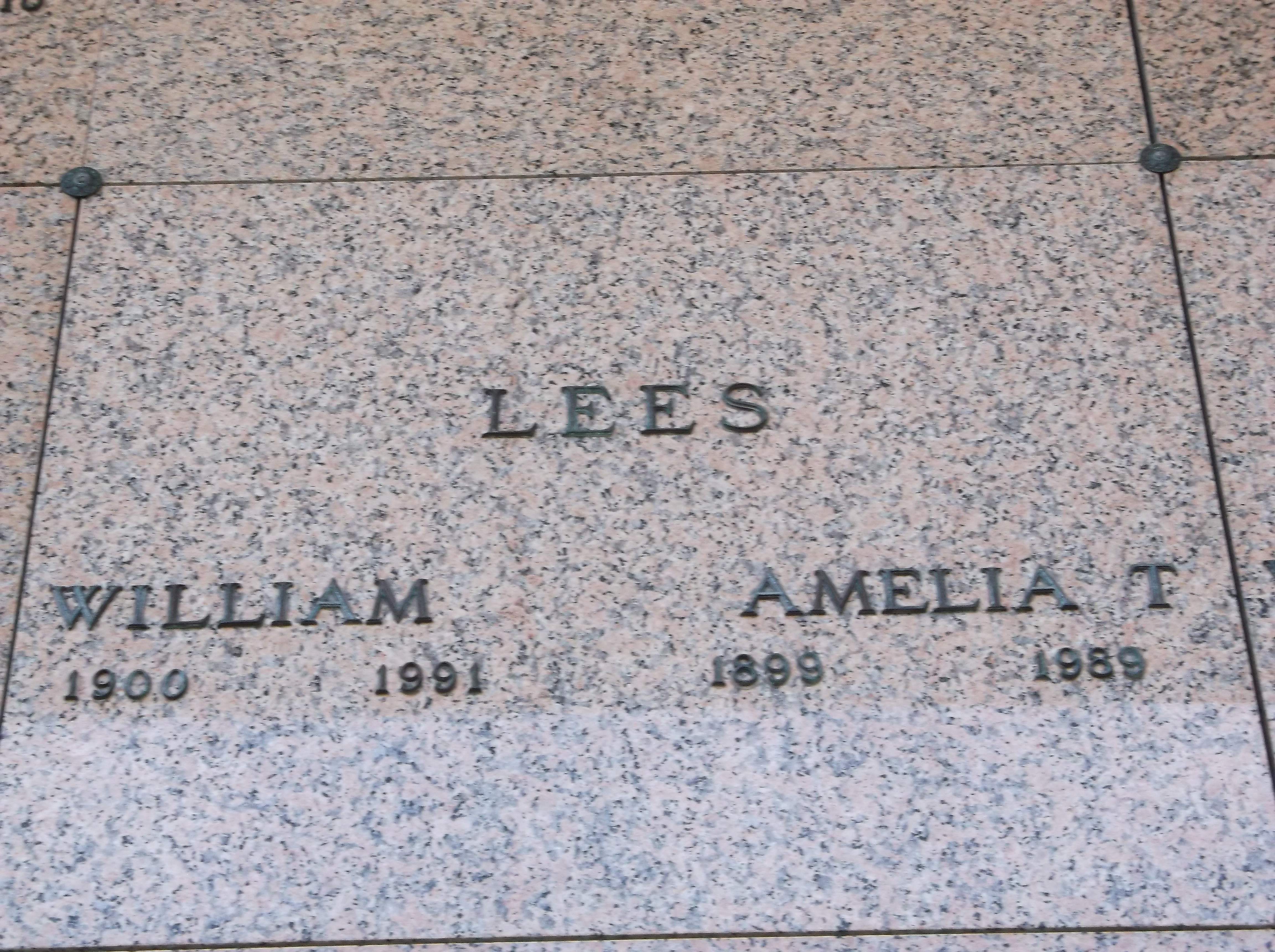 Amelia T Lees