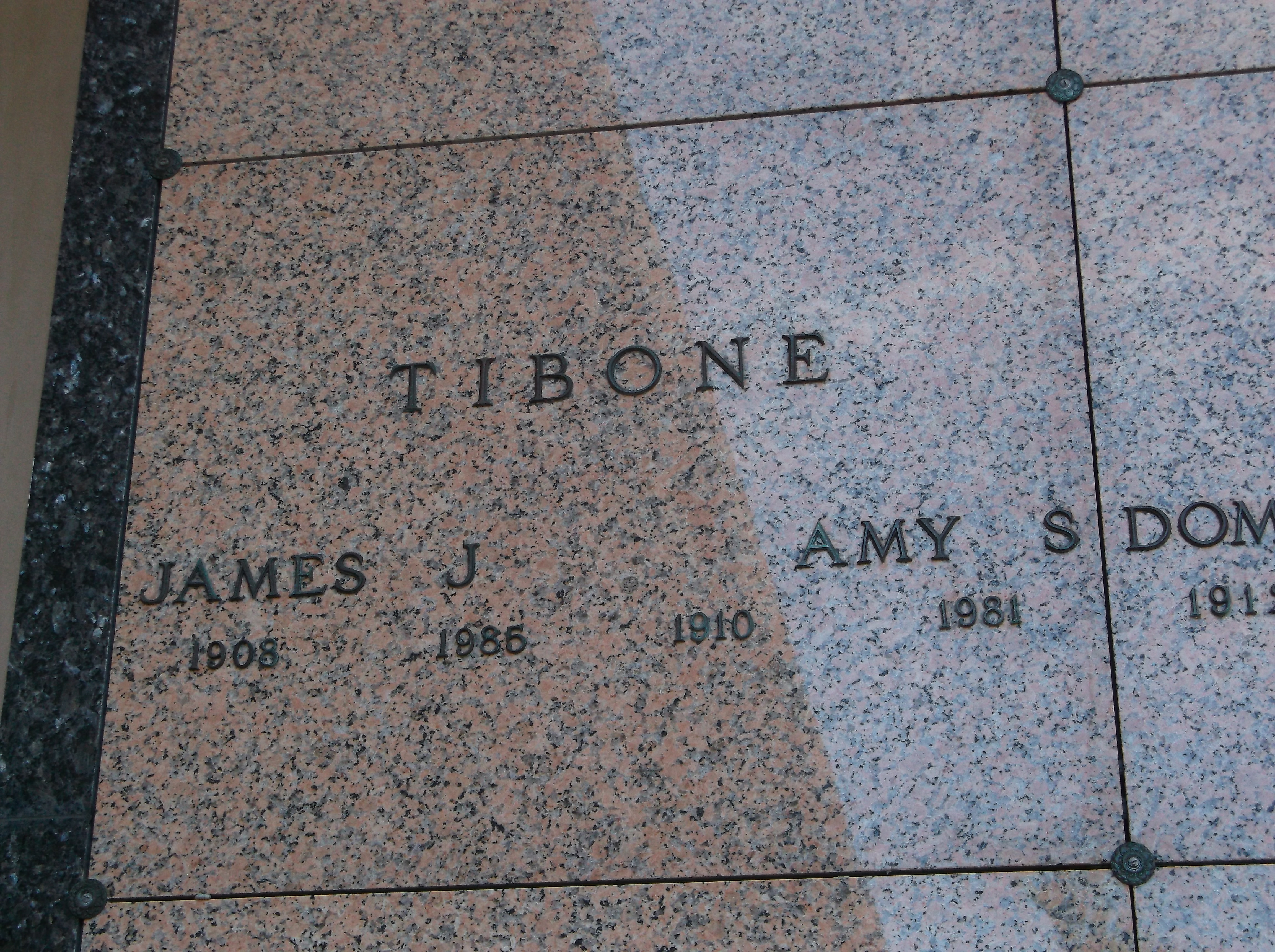 James J Tibone