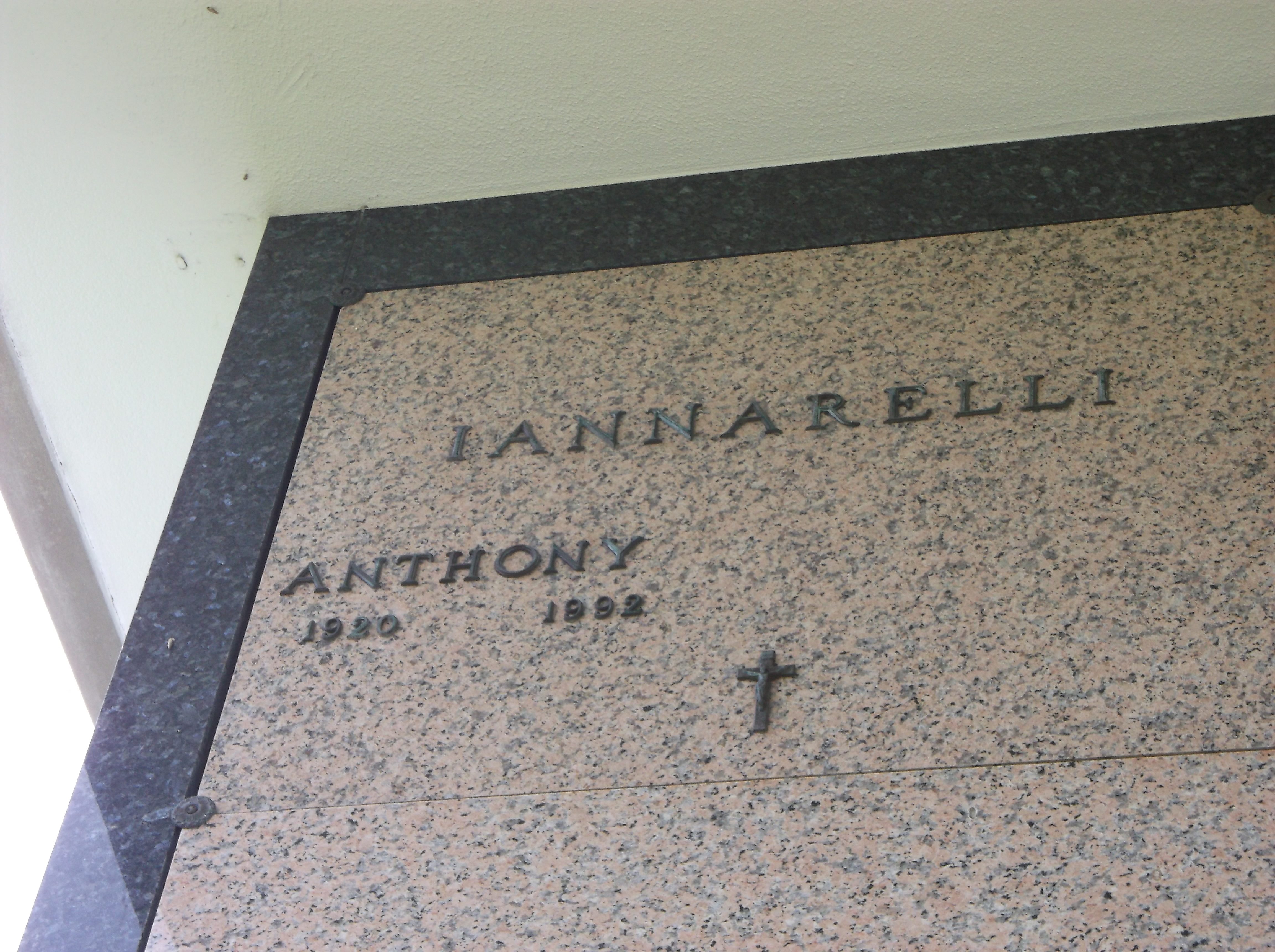 Anthony Iannarelli