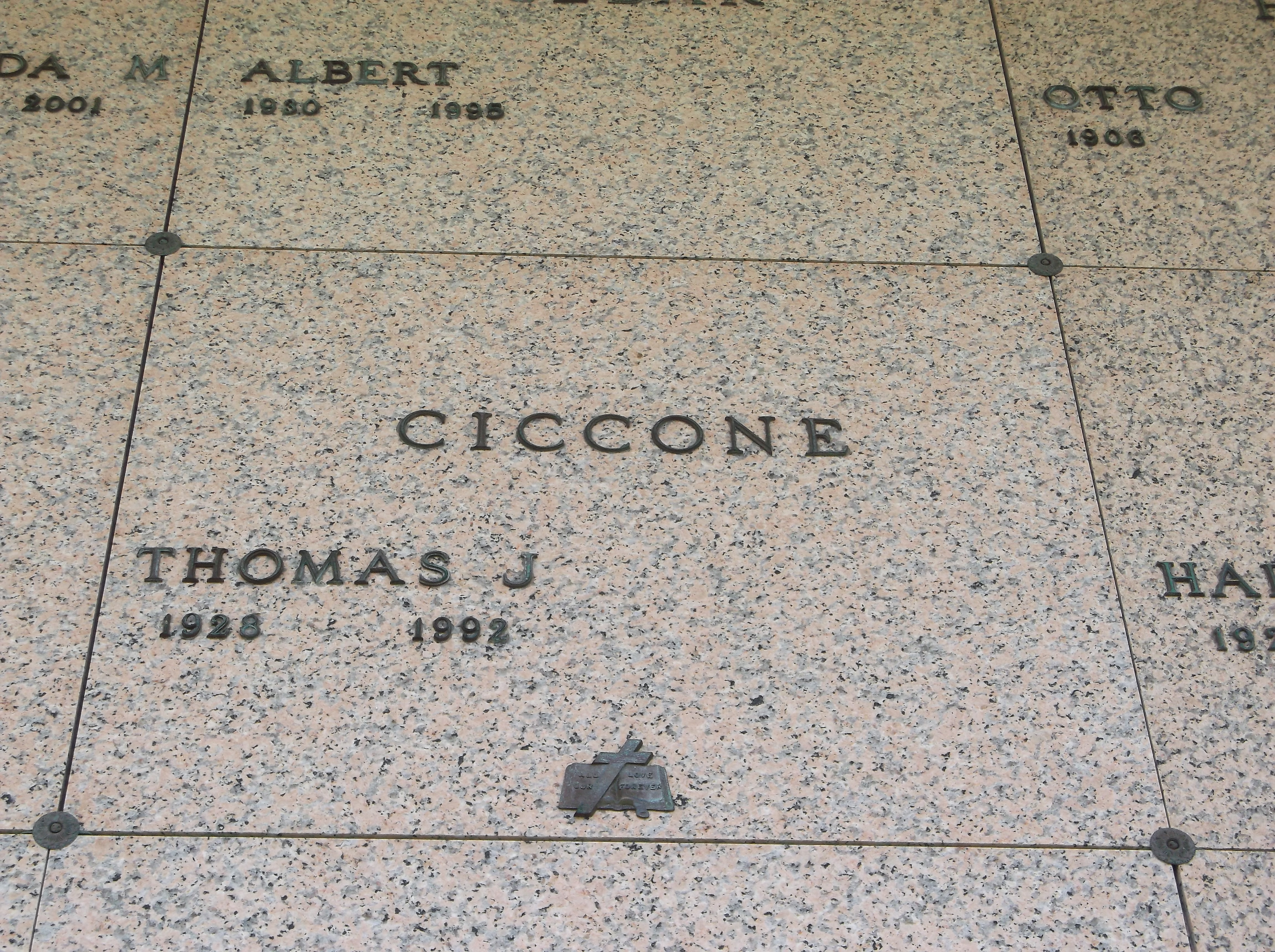Thomas J Ciccone
