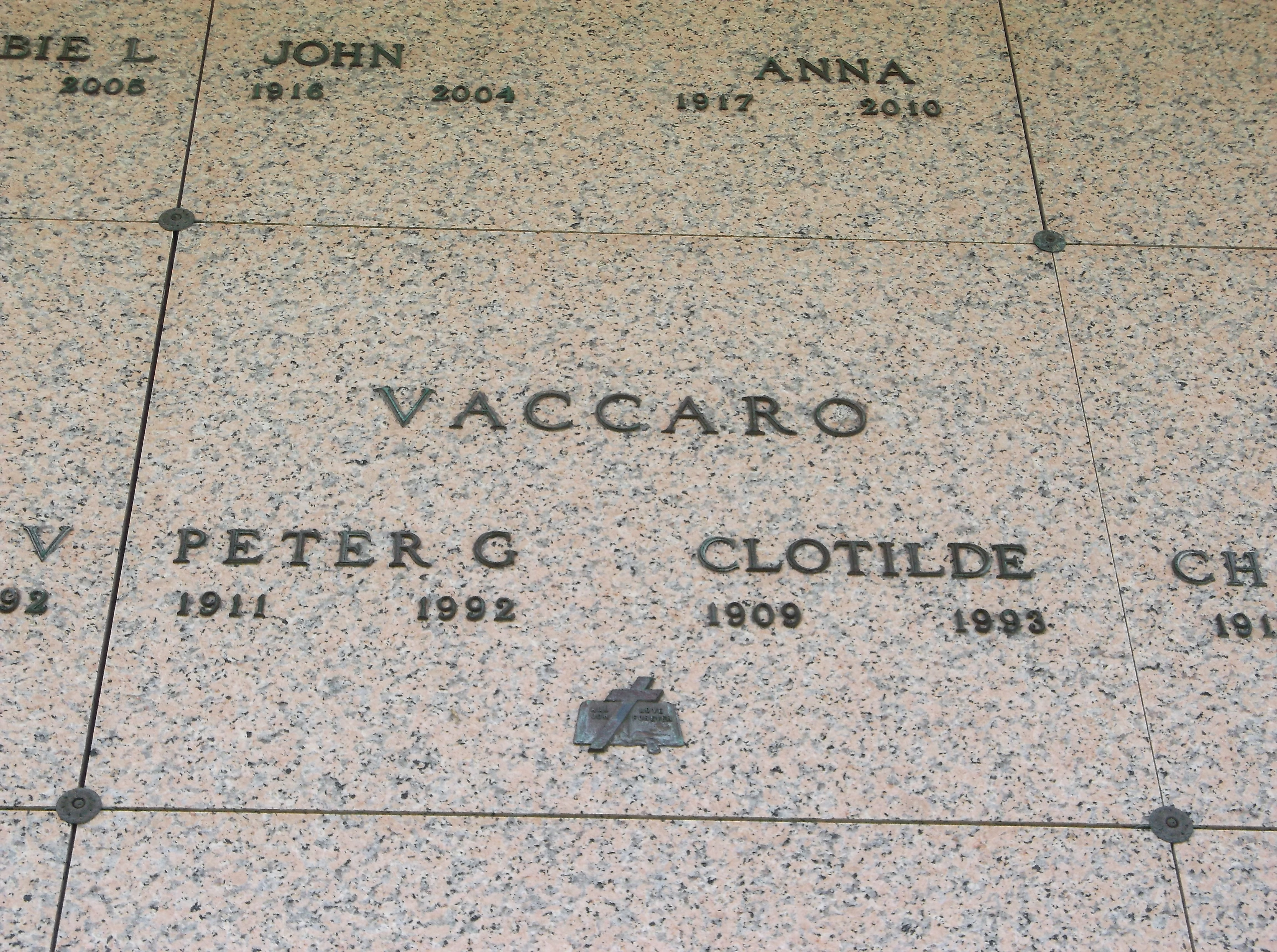 Peter G Vaccaro