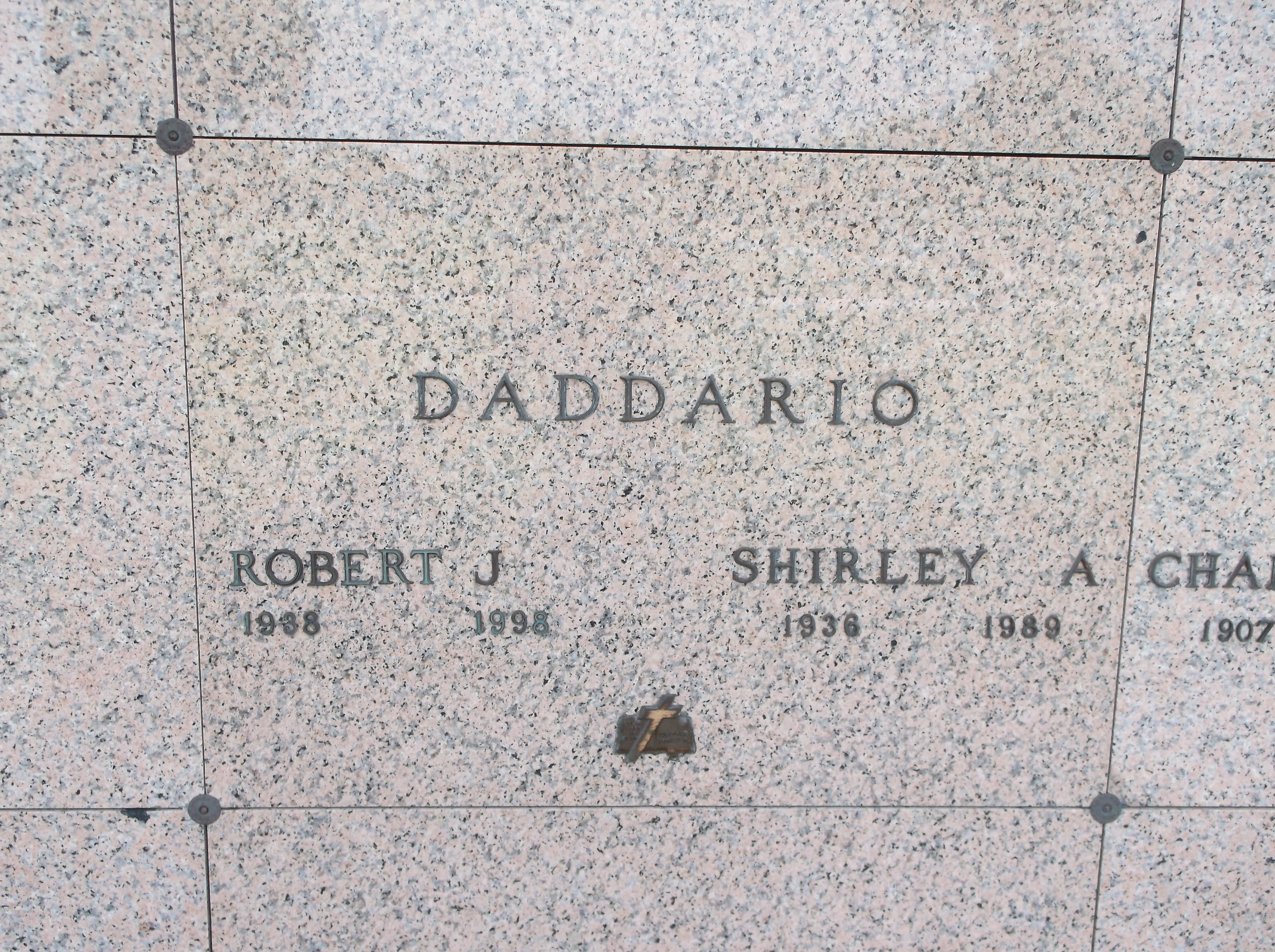 Shirley A Daddario