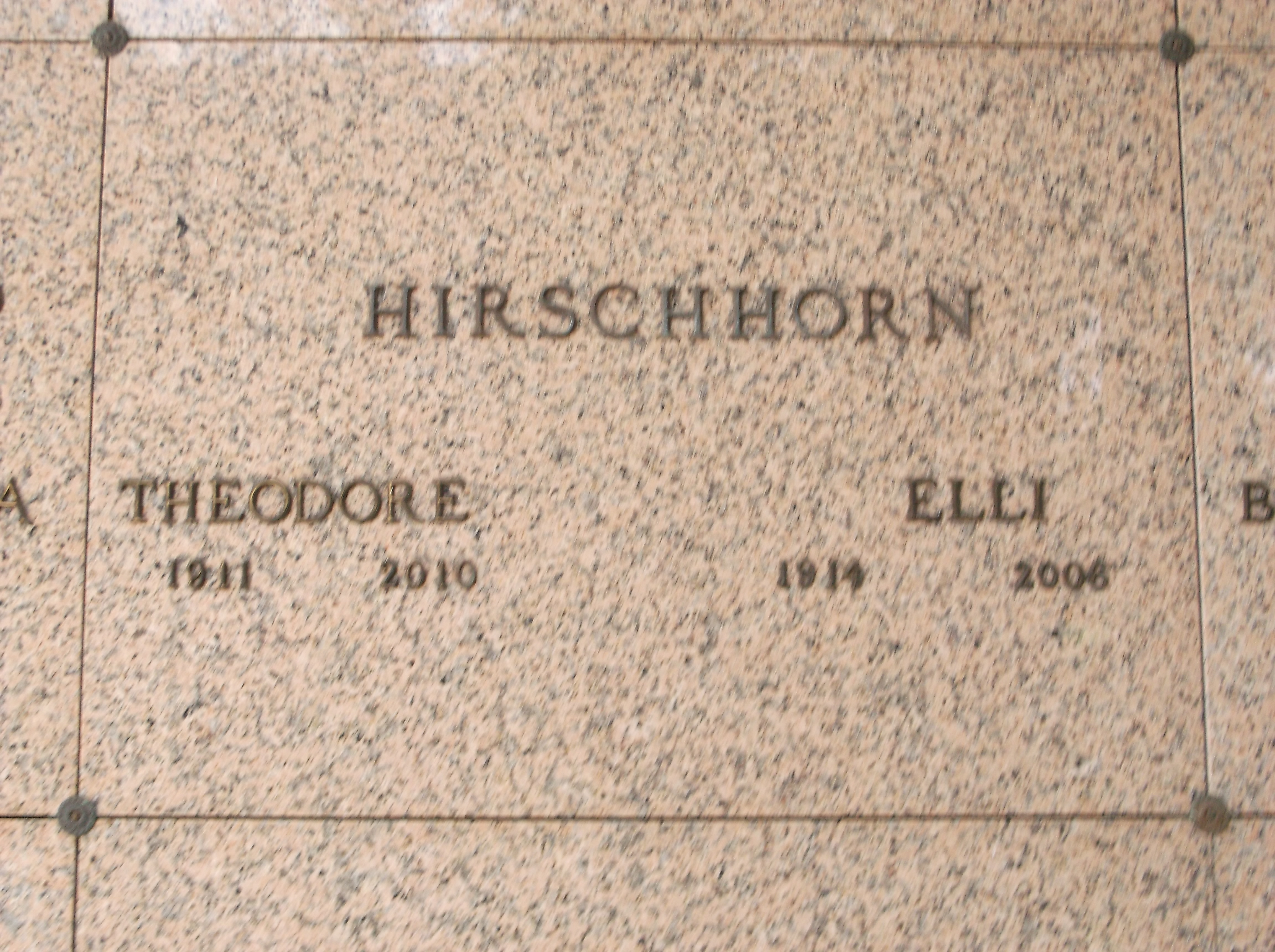 Theodore Hirschhorn