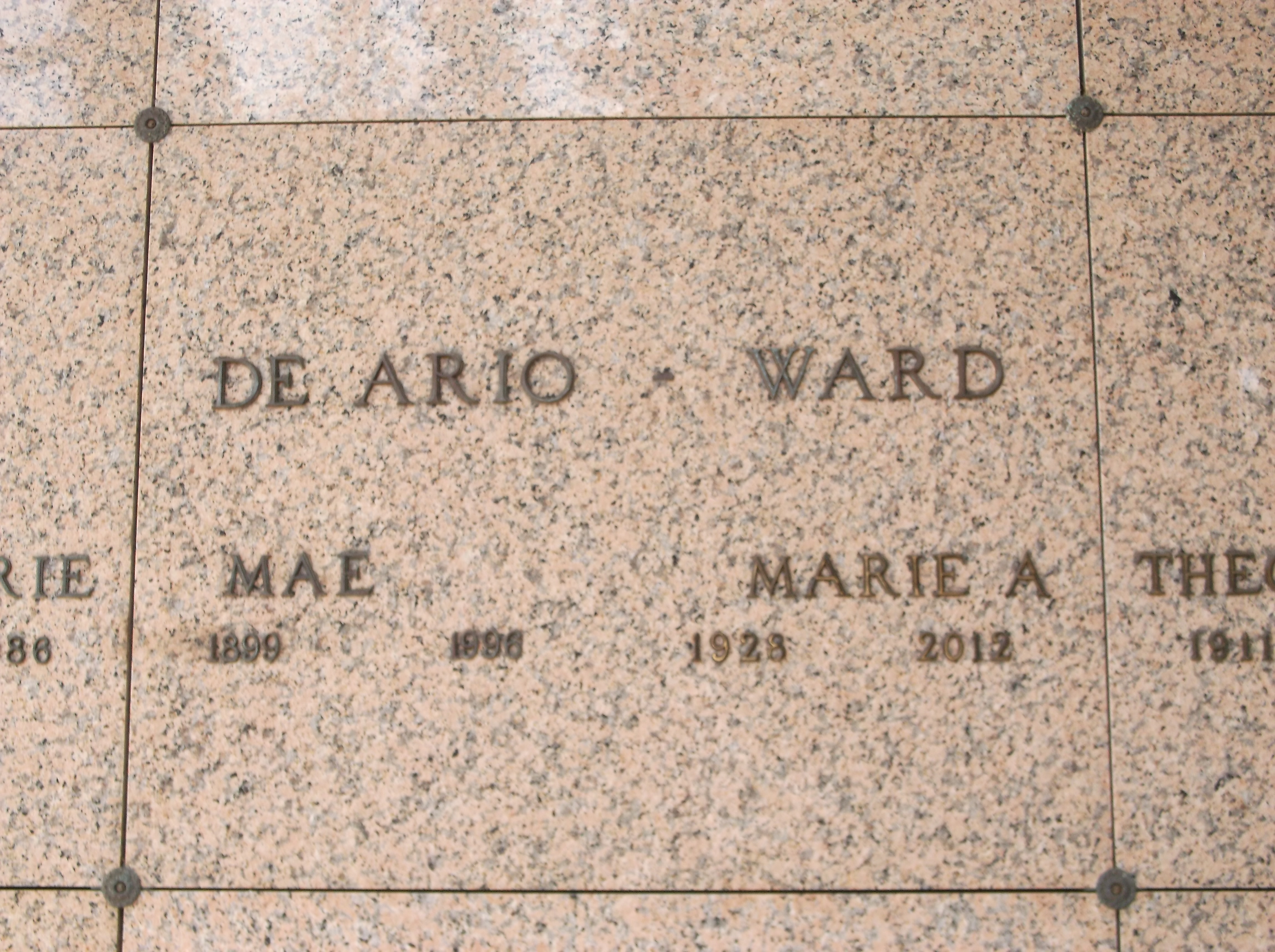 Marie A Ward