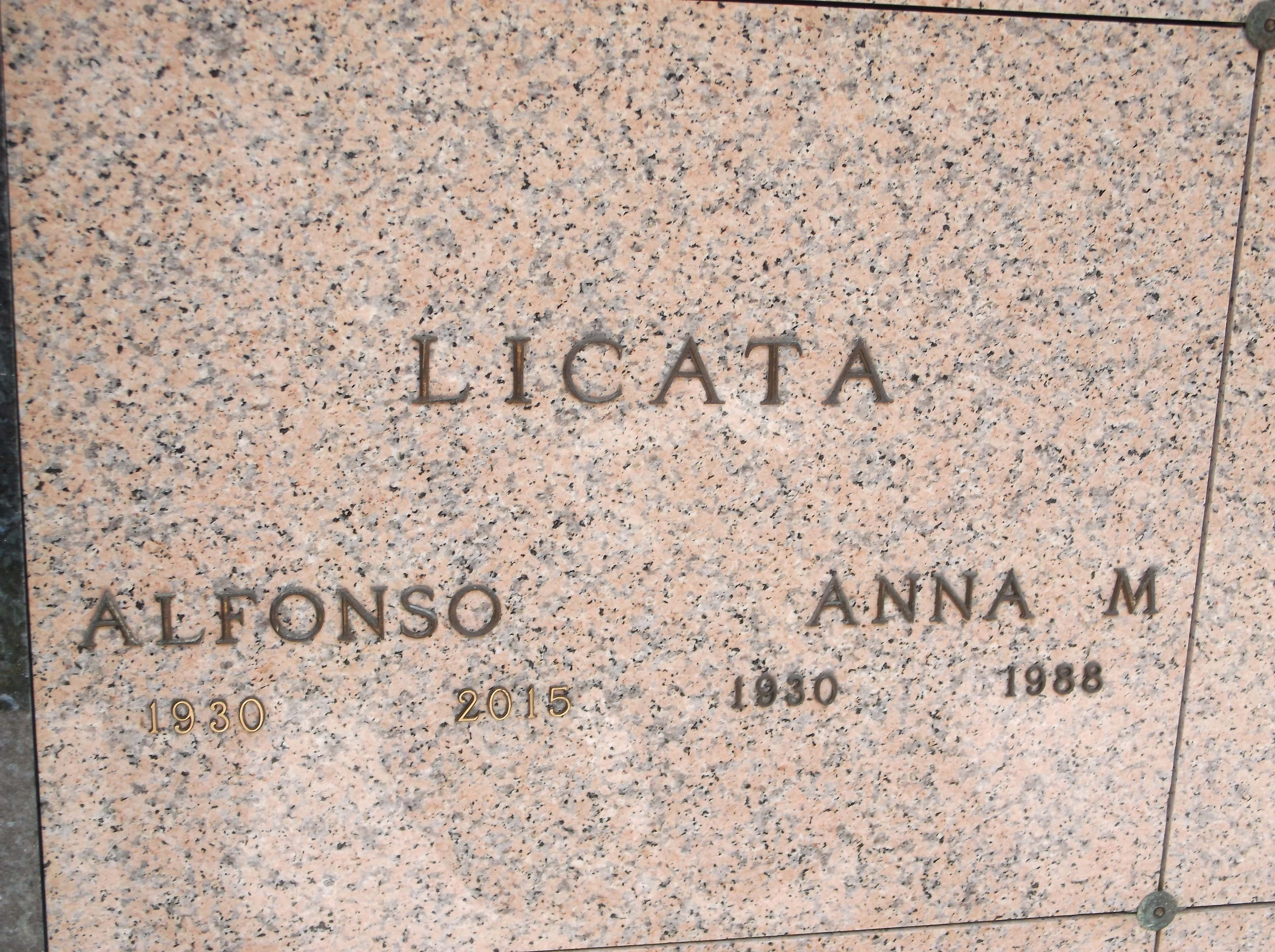 Anna M Licata