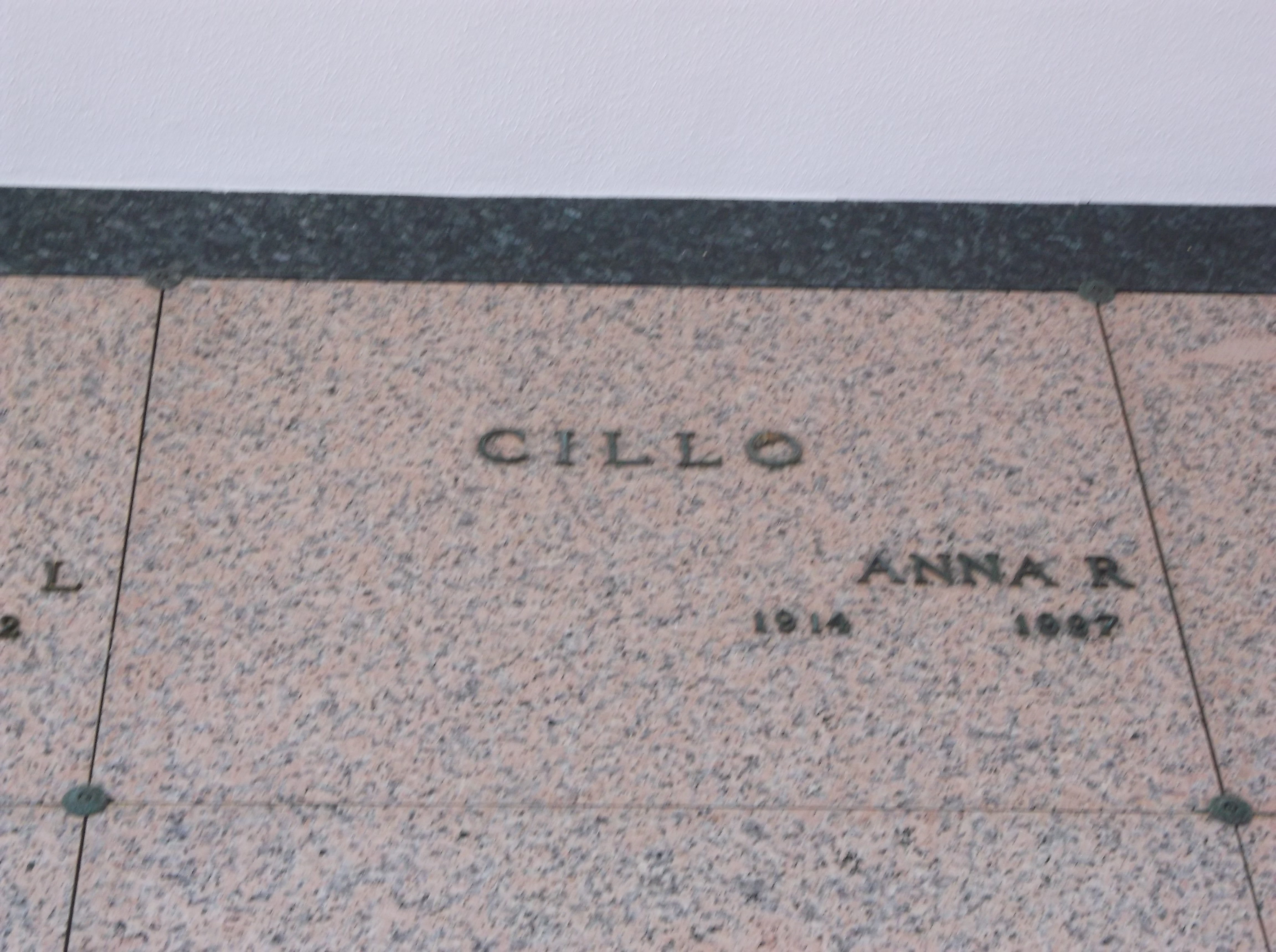 Anna R Cillo