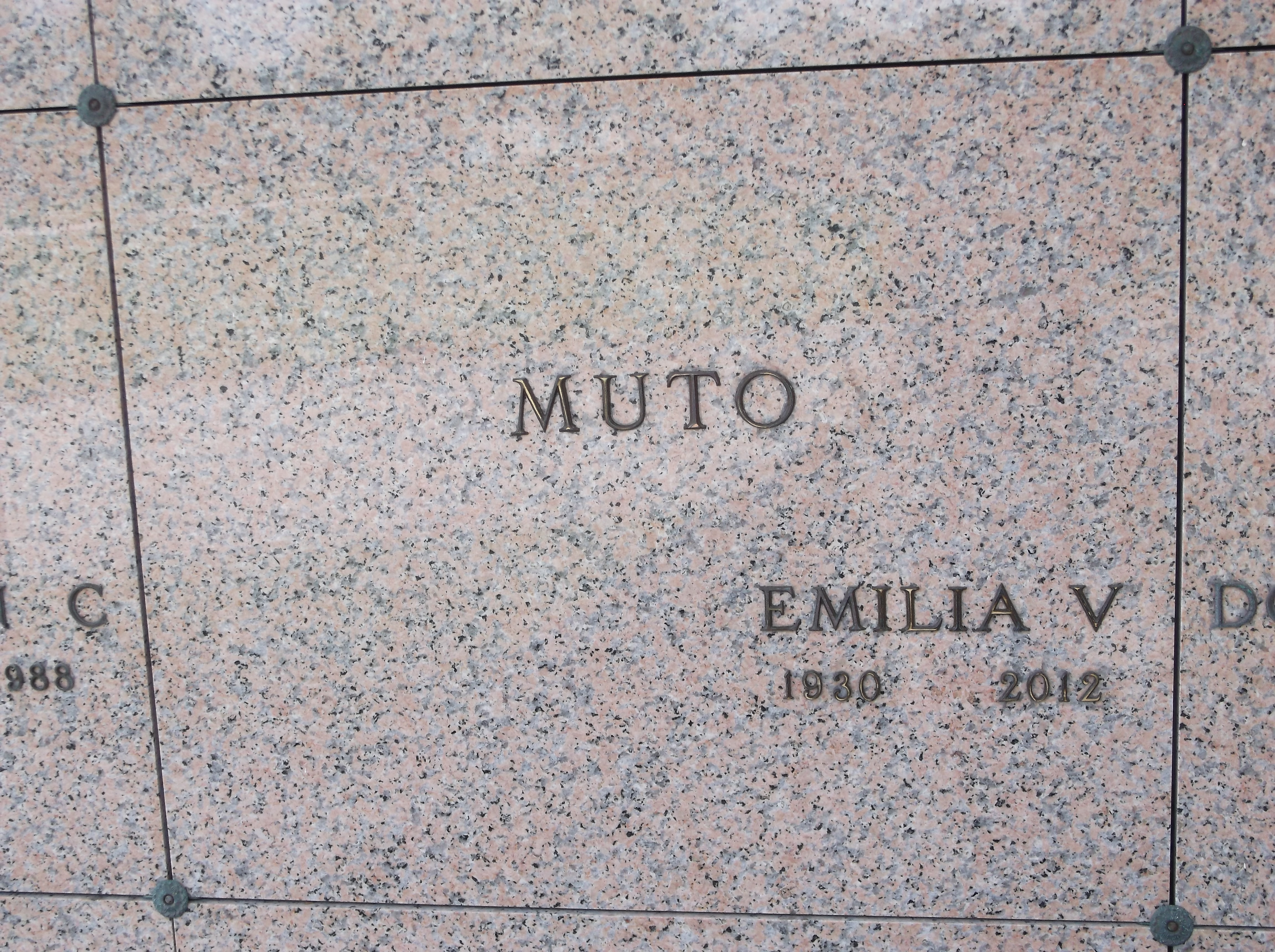 Emilia V Muto