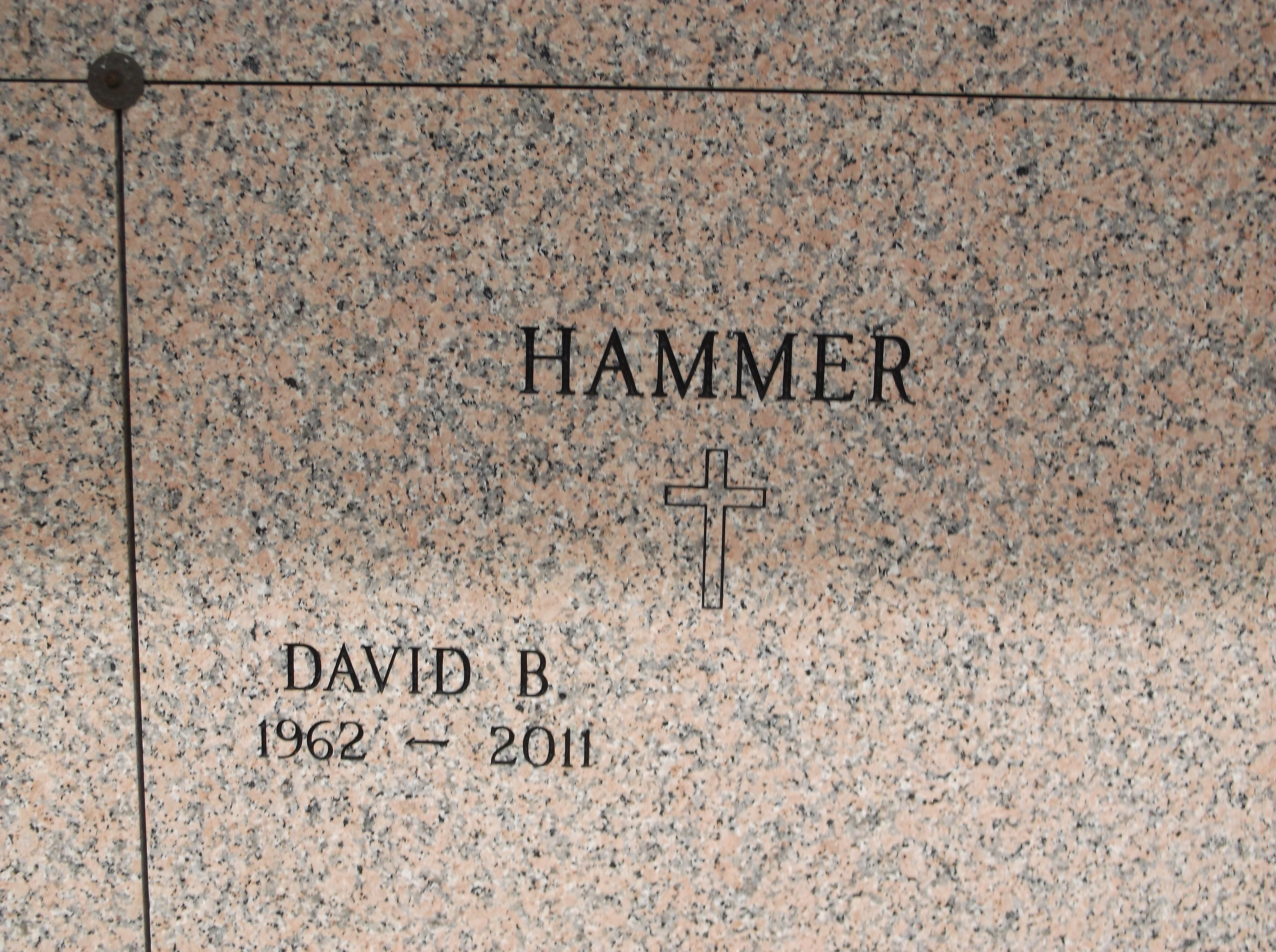 David B Hammer