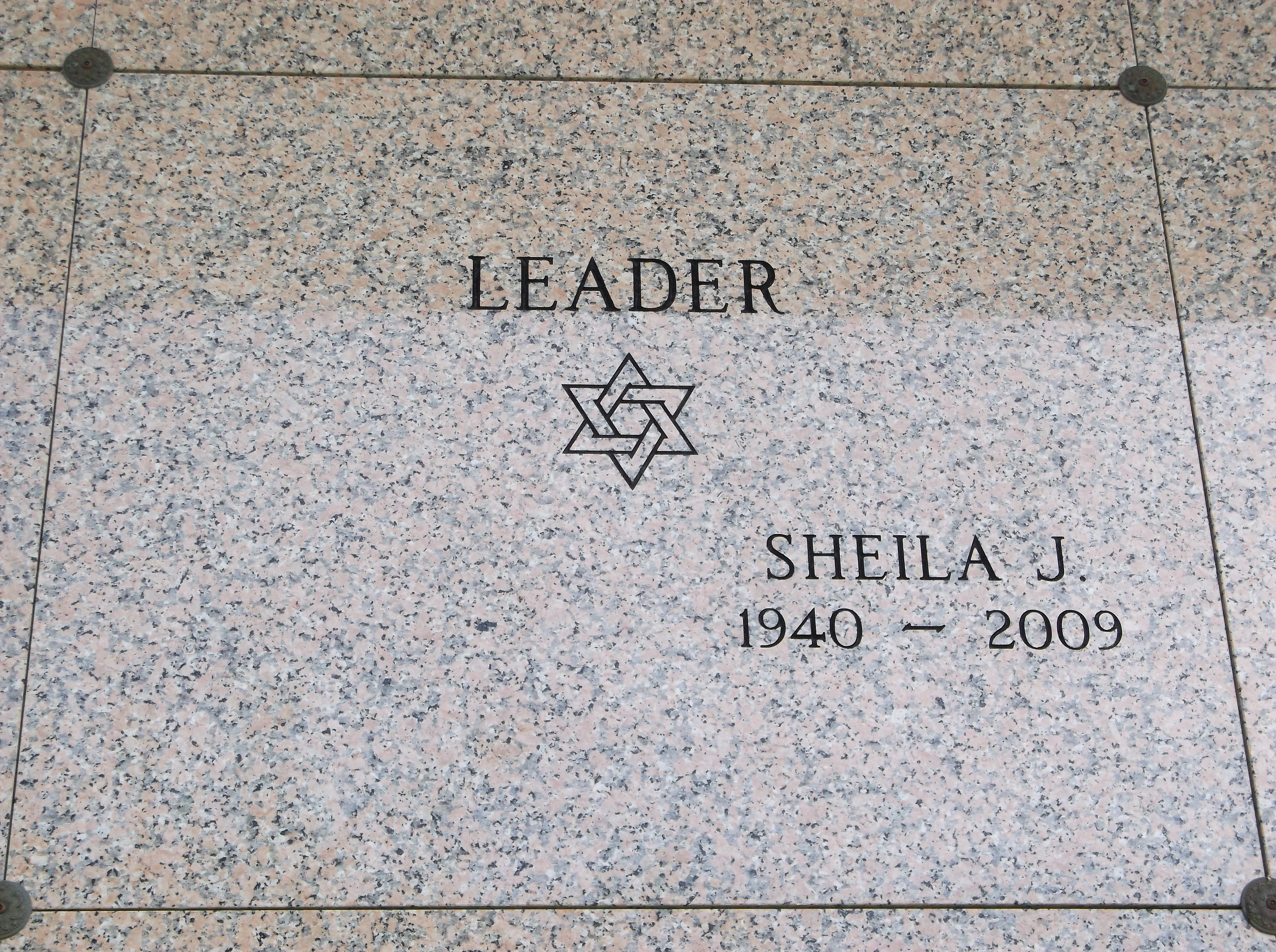 Sheila J Leader