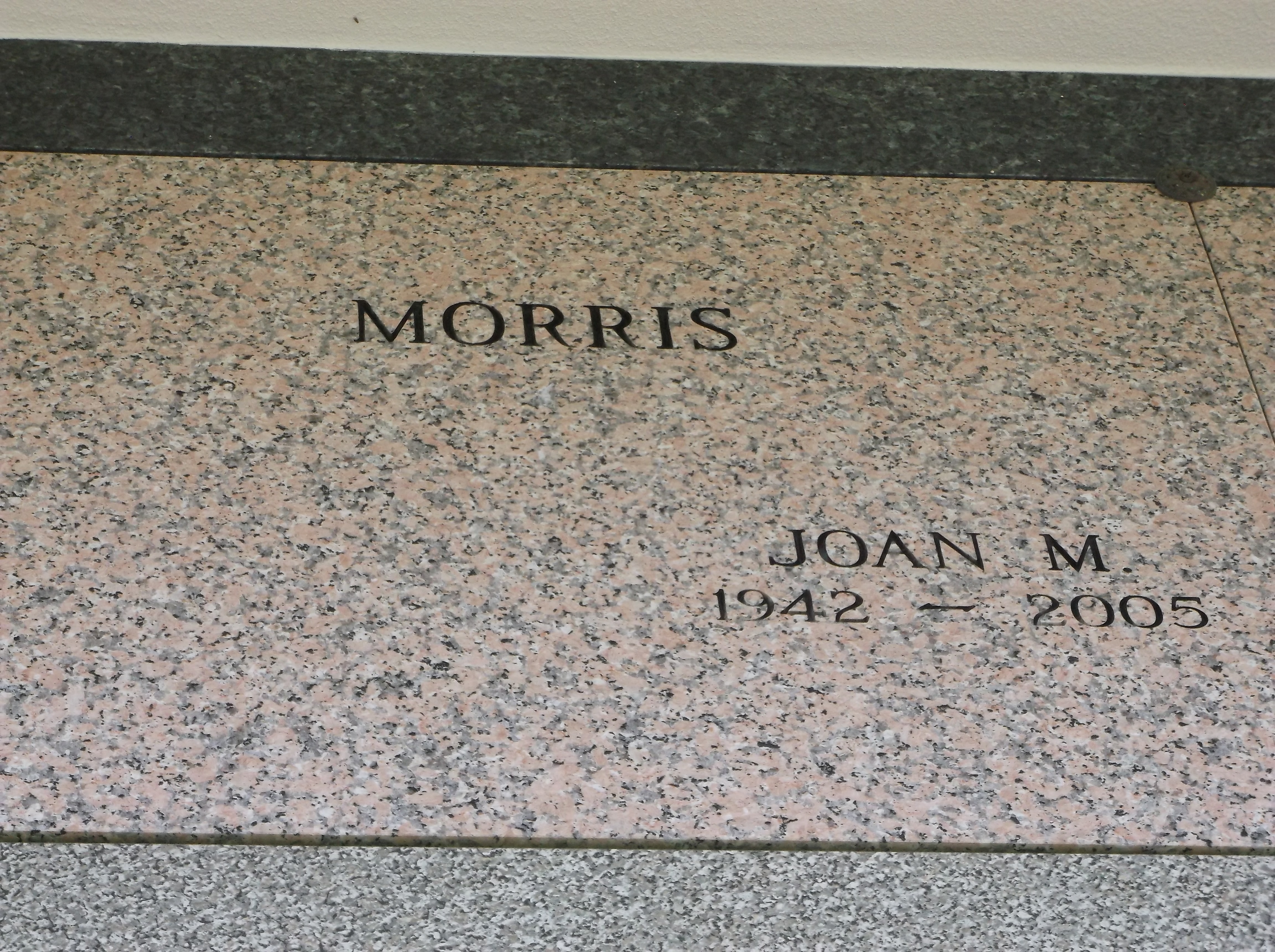 Joan M Morris