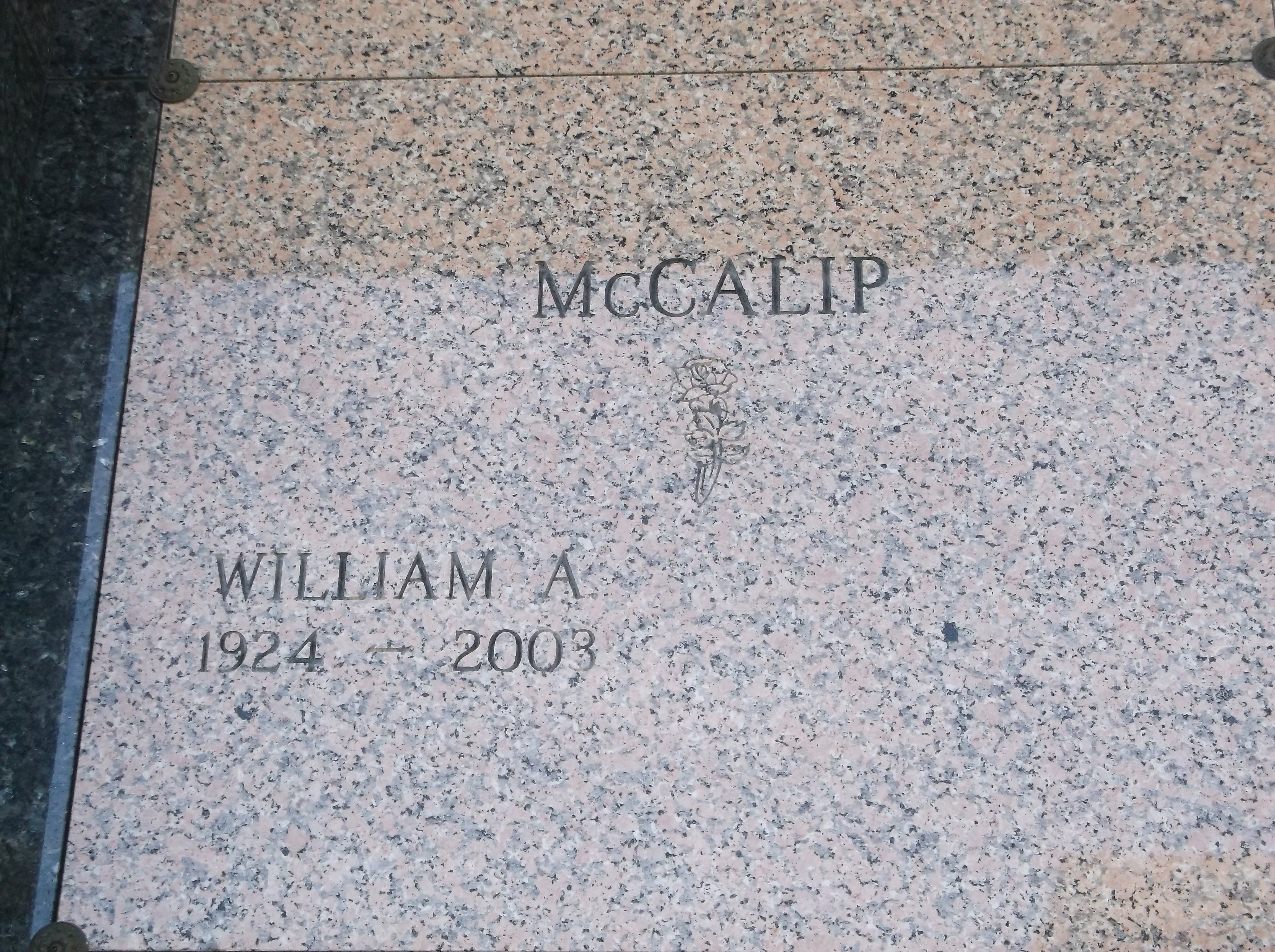 William A McCalip
