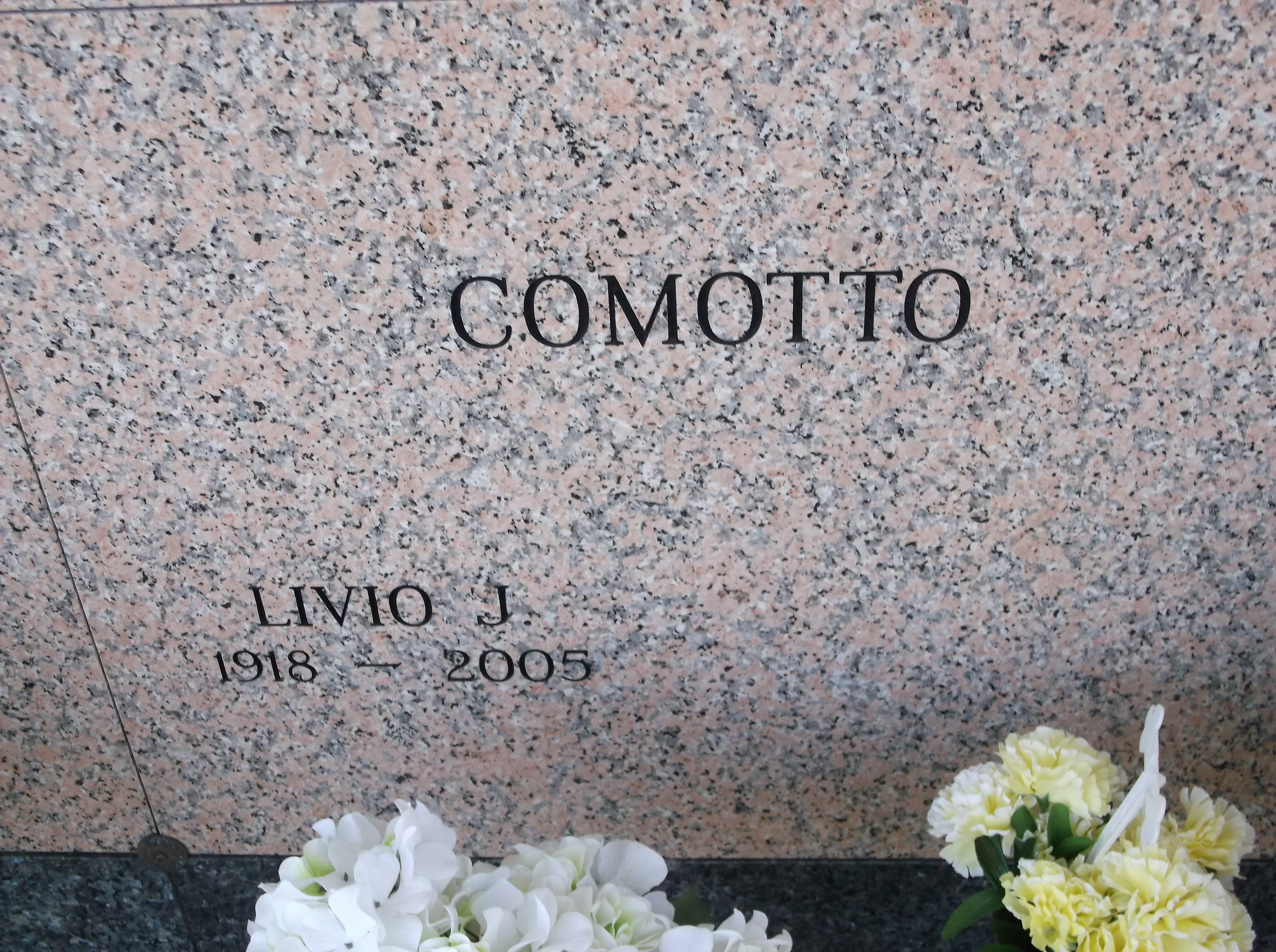 Livio J Comotto