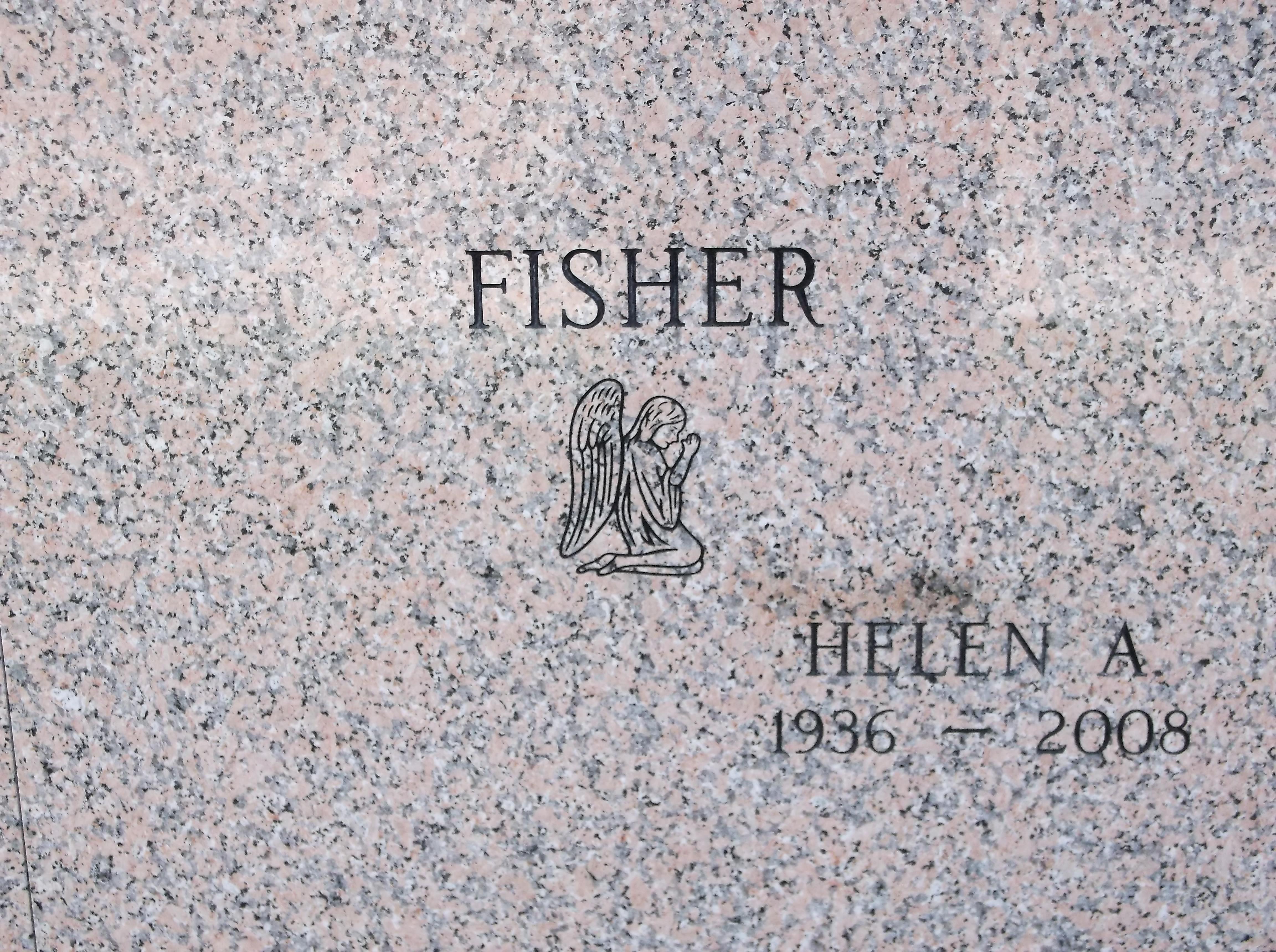 Helen A Fisher